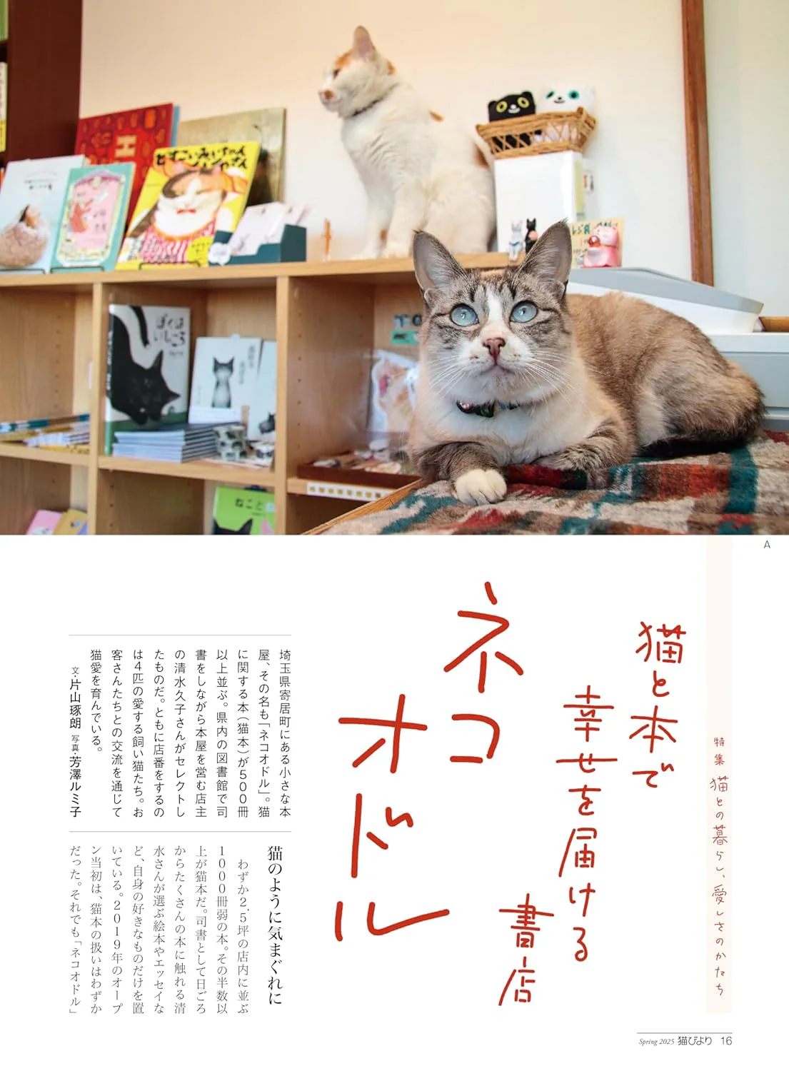 Neko Biyori Spring 2025 - Image 4