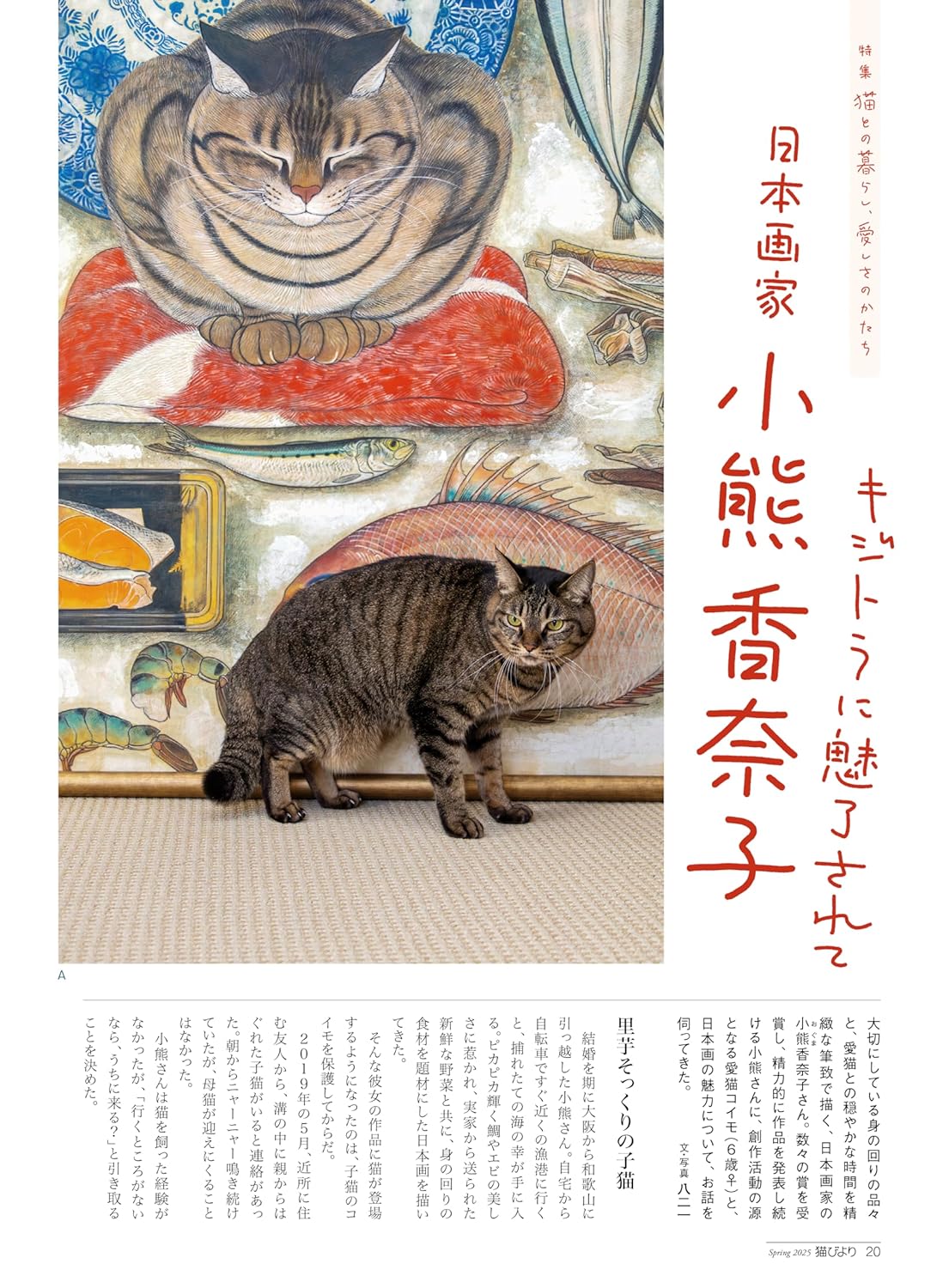 Neko Biyori Spring 2025 - Image 8