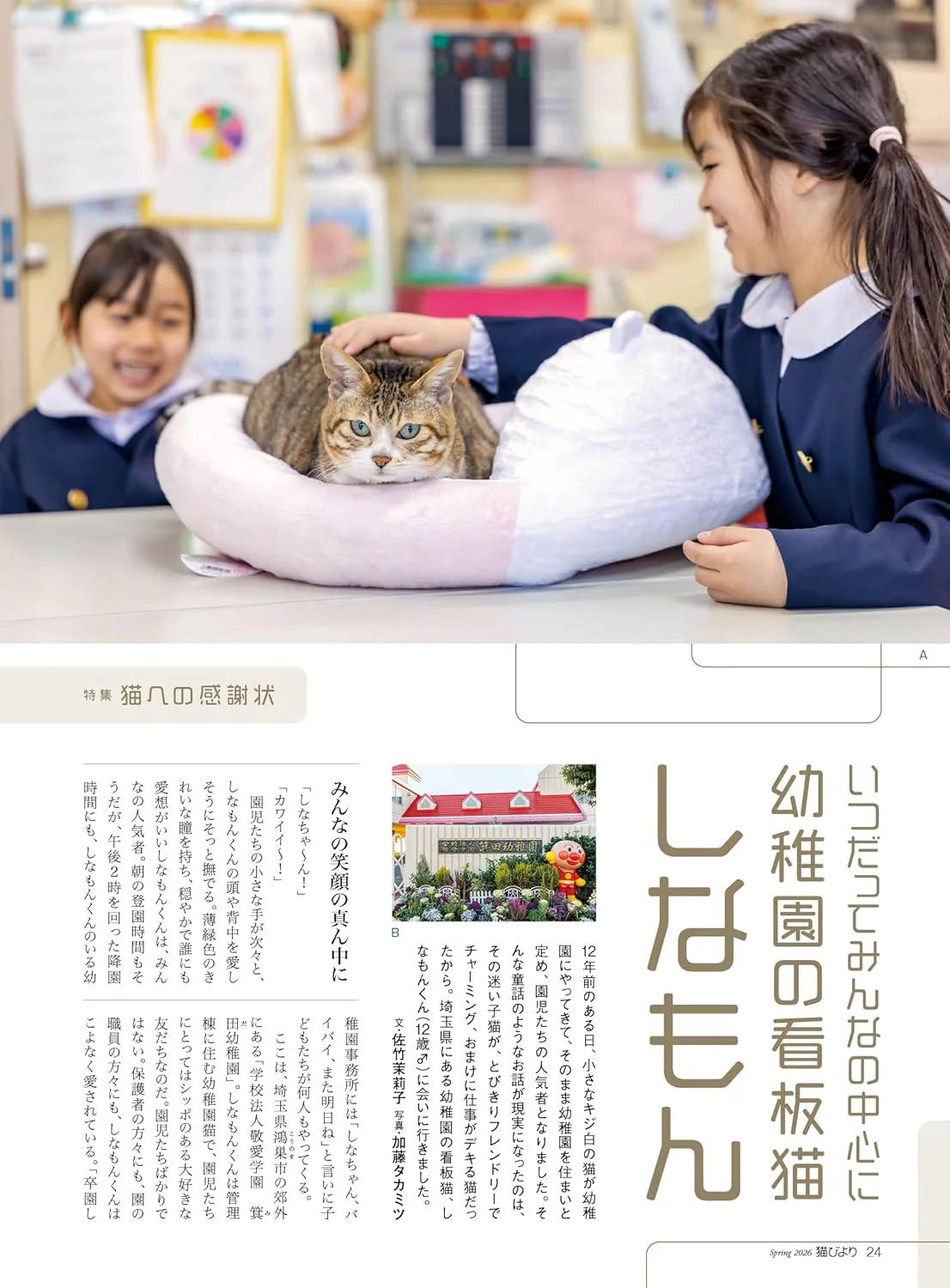 Neko Biyori Spring 2026 - Image 6