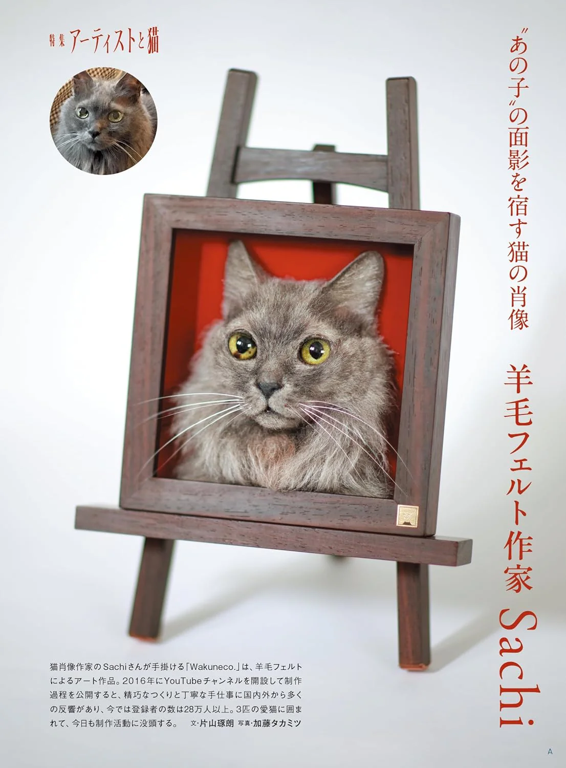Nekobiyori 2026 Summer - Image 8