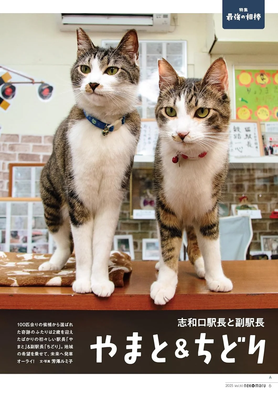 Nekomaru Vol.50 Summer Autumn 2025 - Image 3
