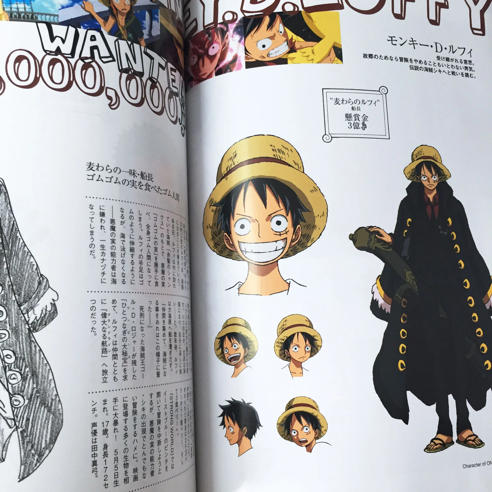 One Piece PIA, The Movie Strong World Guide Book w/Poster & Card - Image 8