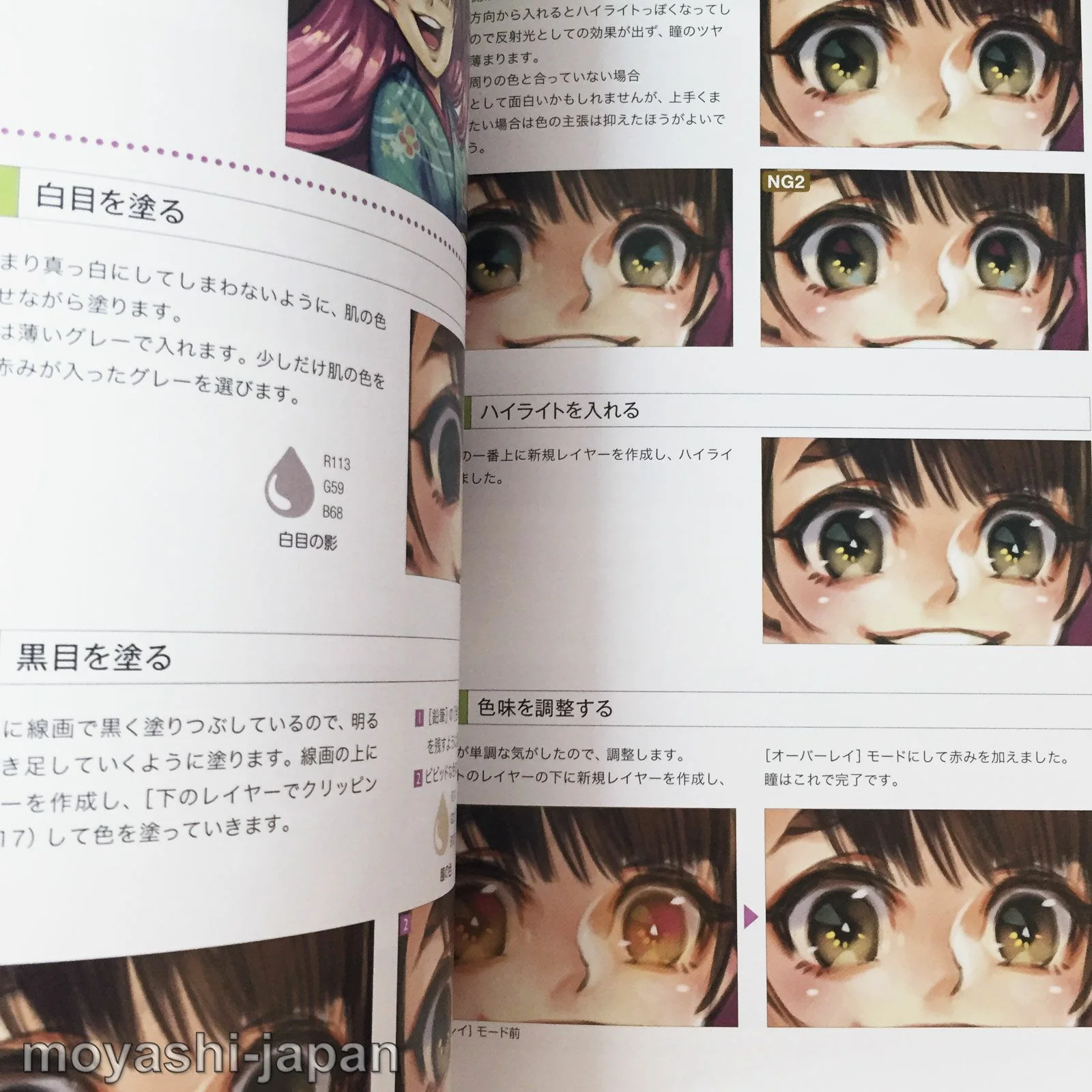"Painting" Encyclopedia for Digital Illustrations /  CLIP STUDIO PAINT - Image 9