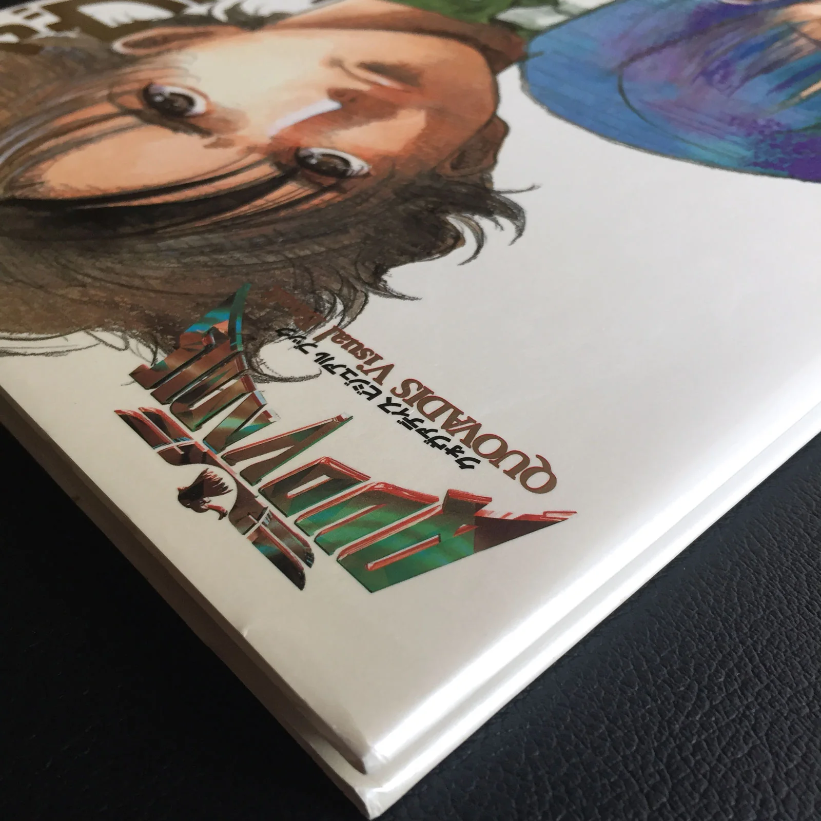 QUOVADIS Visual Book - Image 3
