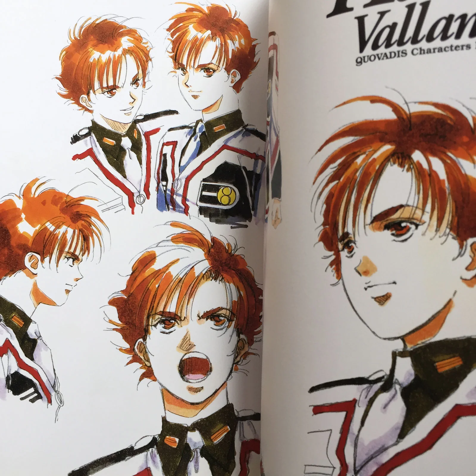 QUOVADIS Visual Book - Image 4