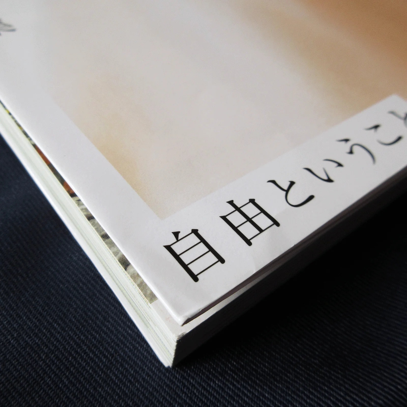 Reika Sakurai 1st Photo Book / Nogizaka46 - Image 2