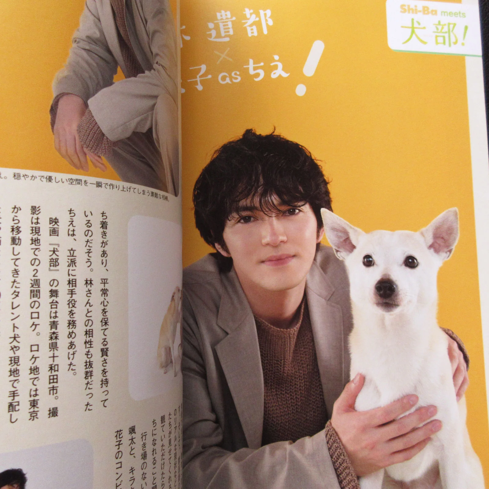 Shi-Ba Vol.120 September 2021 - Image 4