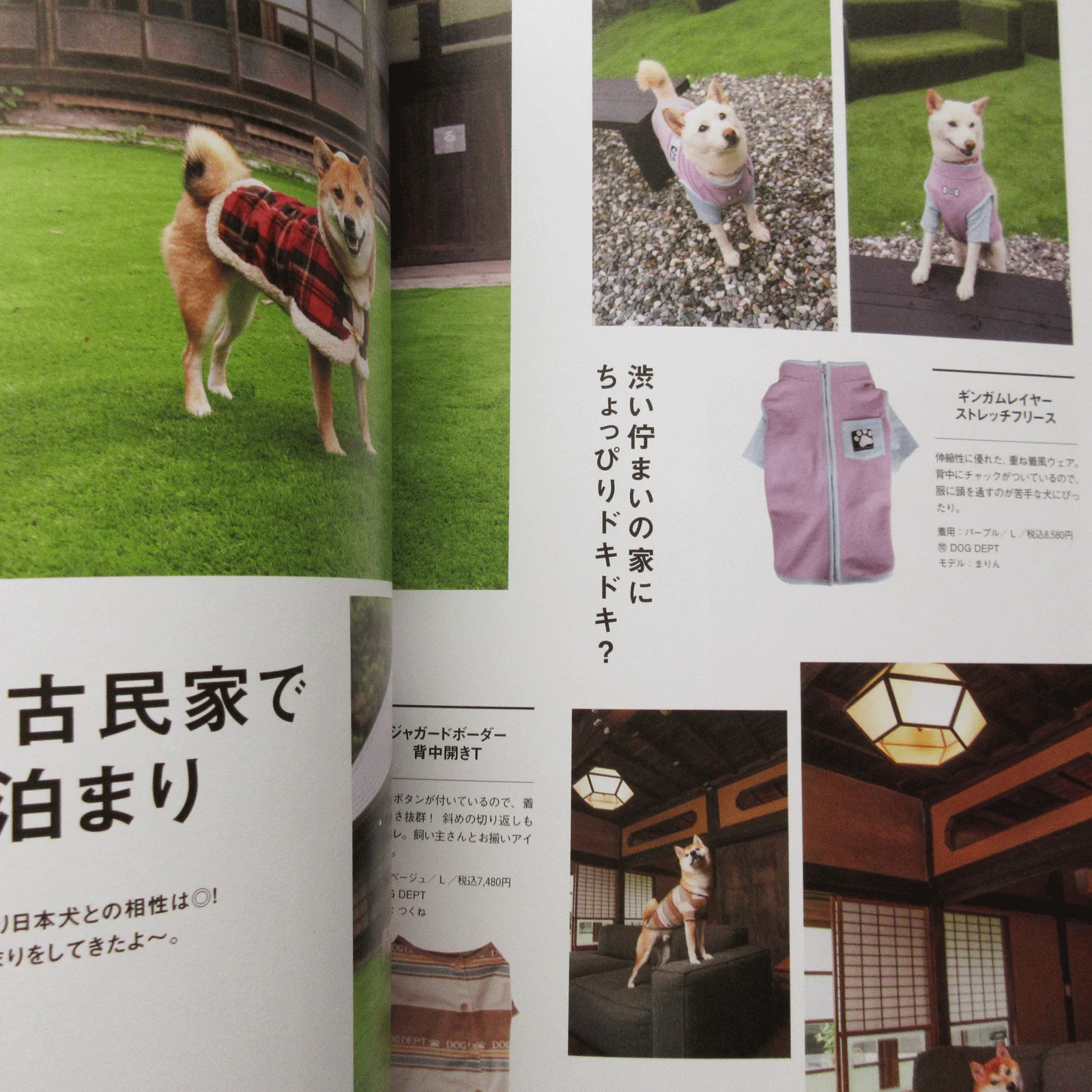 Shi-Ba Vol.126 Winter 2023 - Image 9