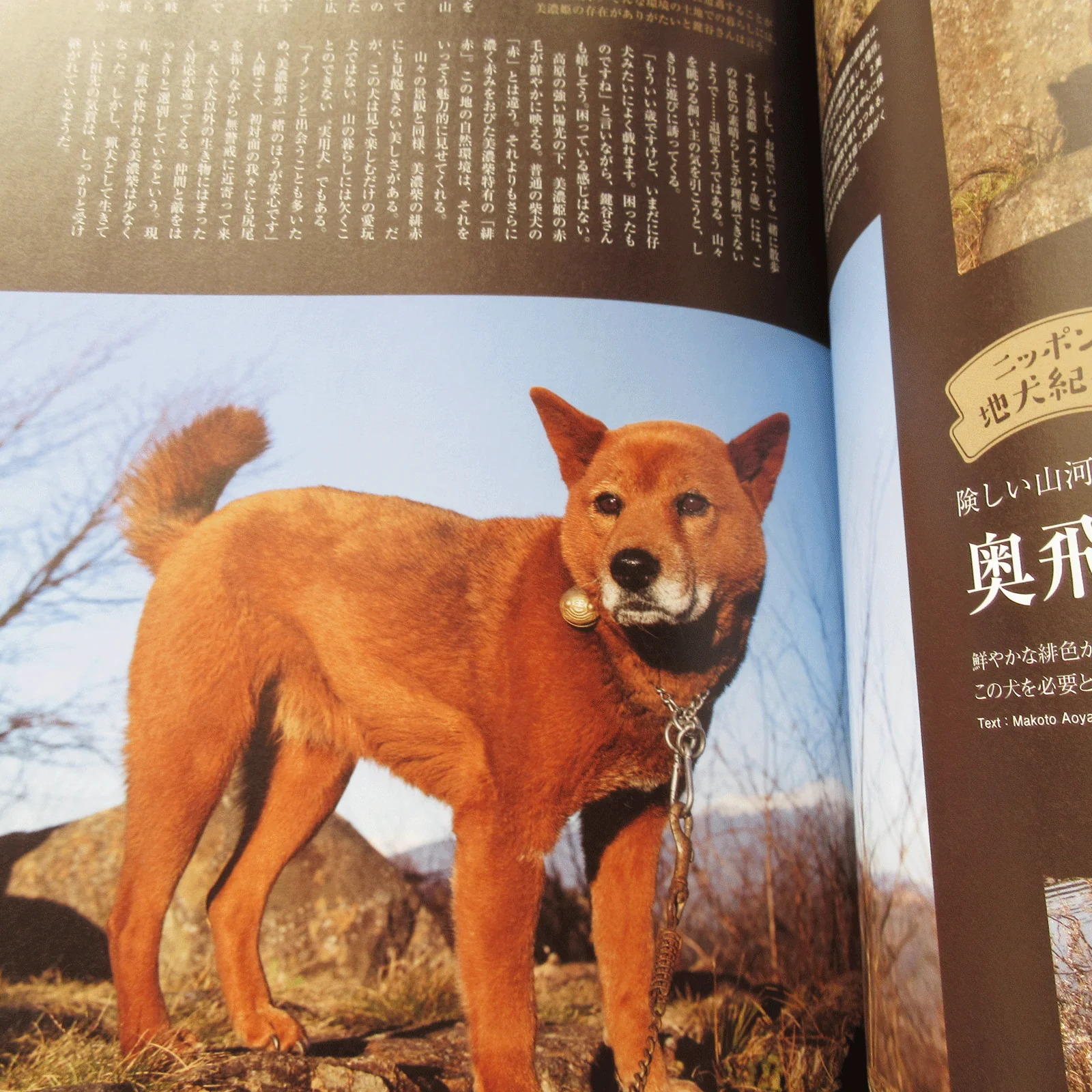 Shi-Ba Vol.127 Spring 2023 - Image 10