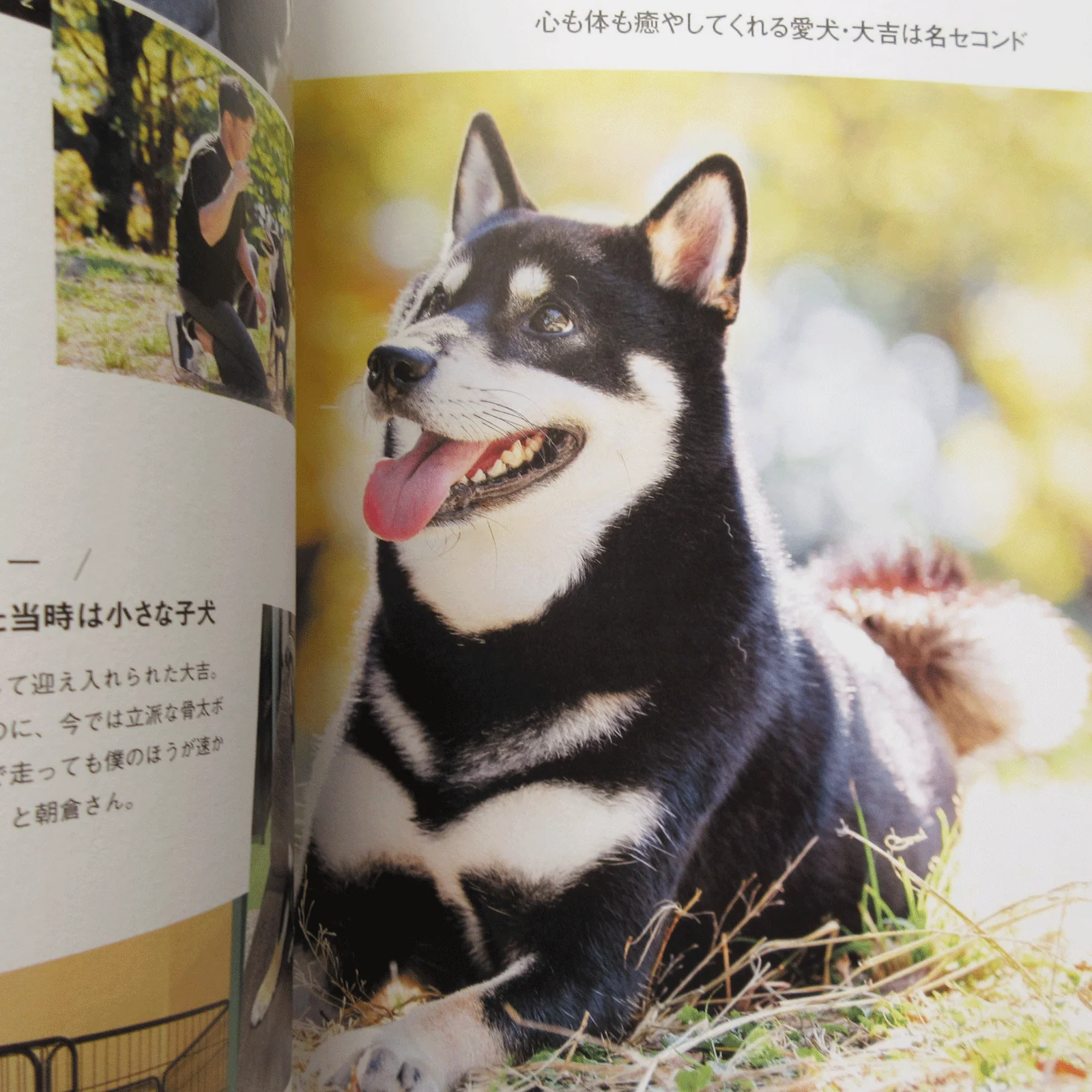 Shi-Ba Vol.127 Spring 2023 - Image 4