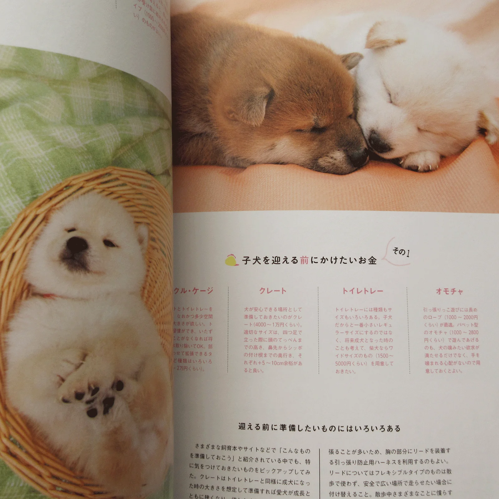 Shi-Ba Vol.127 Spring 2023 - Image 5