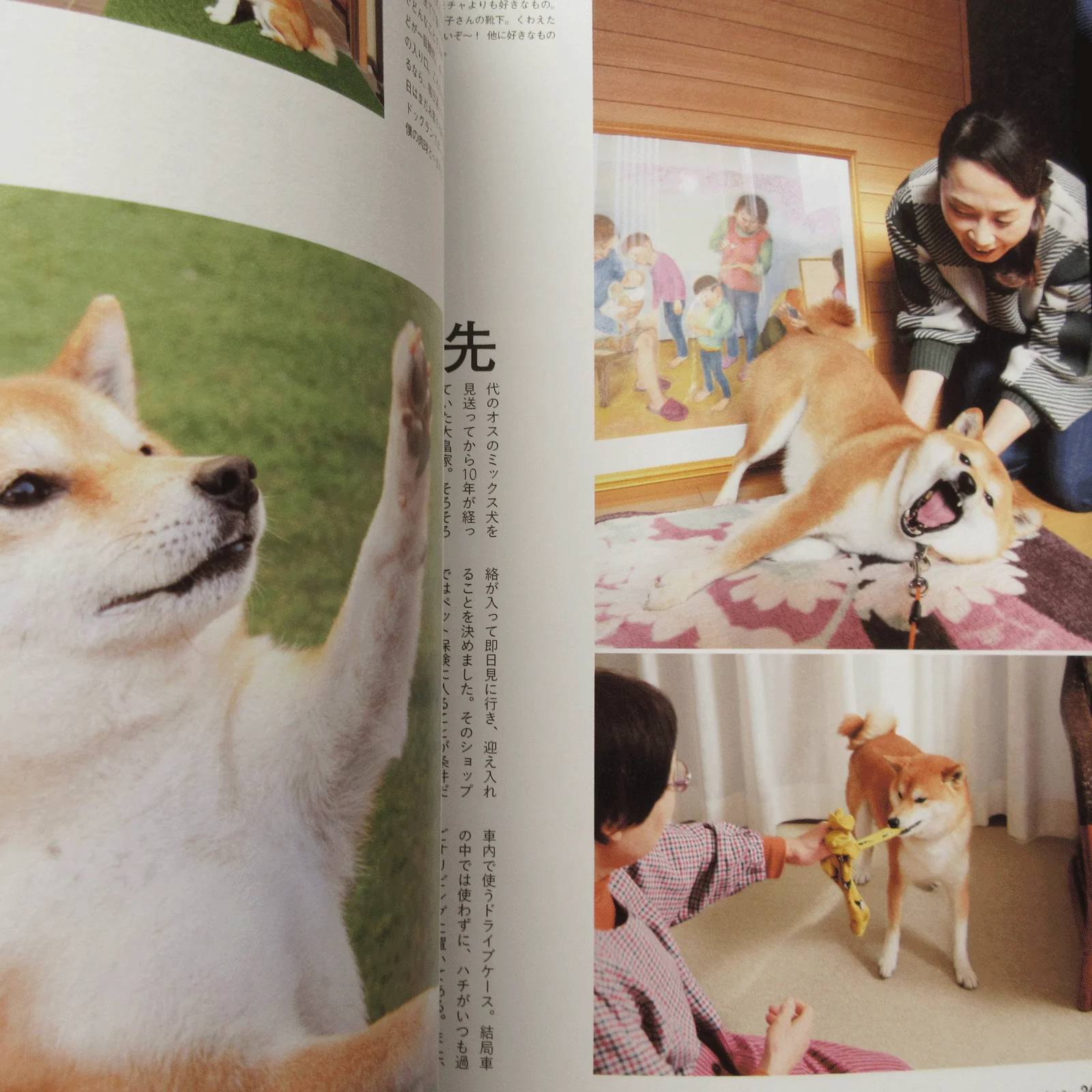 Shi-Ba Vol.127 Spring 2023 - Image 6