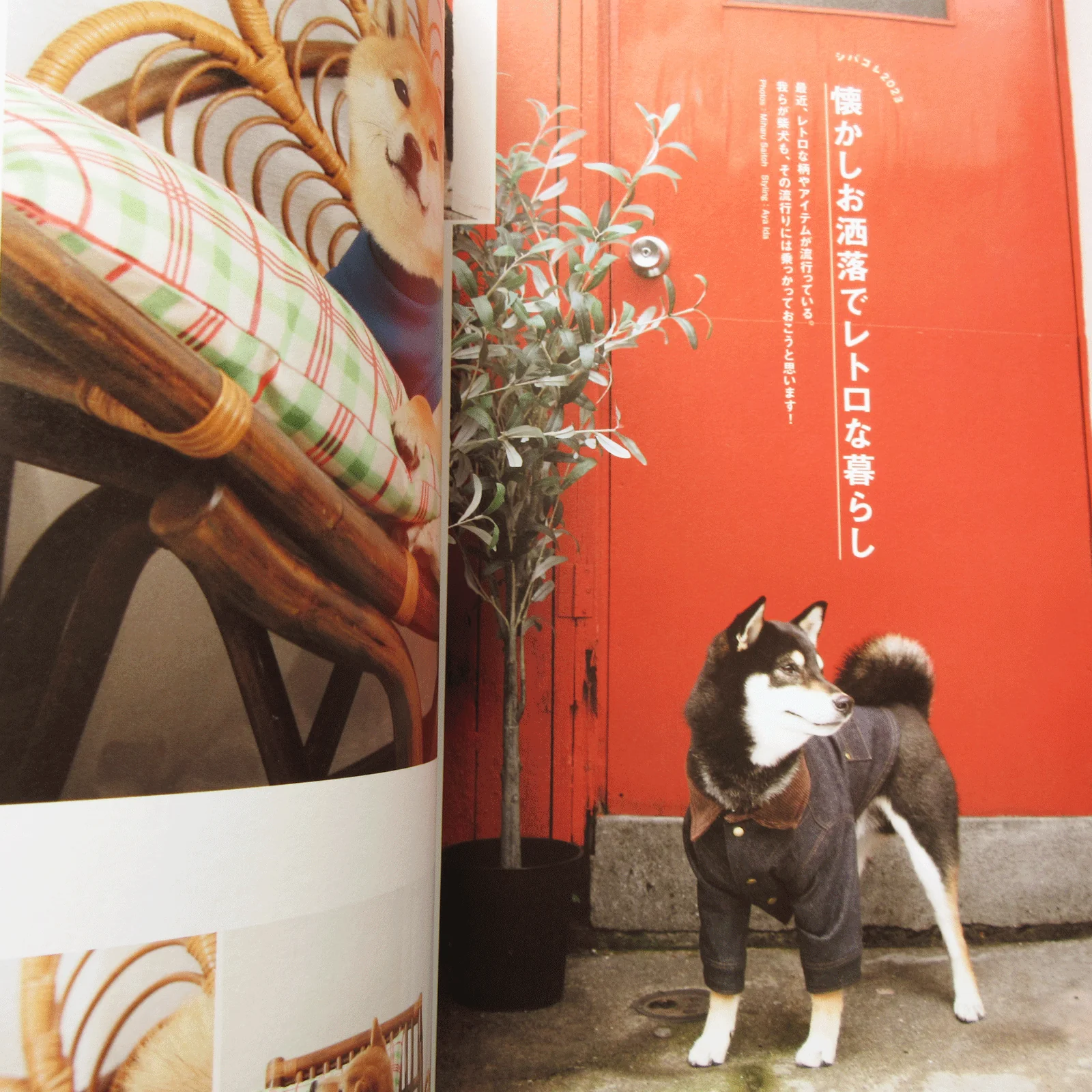 Shi-Ba Vol.127 Spring 2023 - Image 8