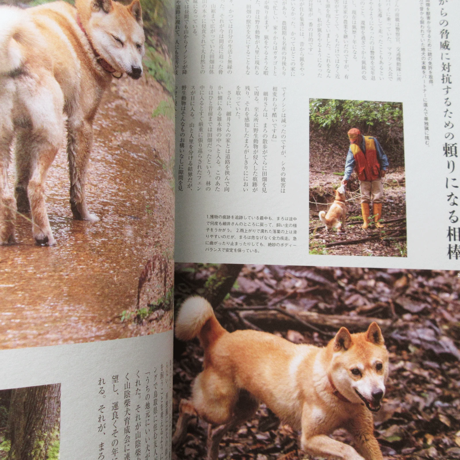 Shi-Ba Vol.130 Winter 2024 - Image 13