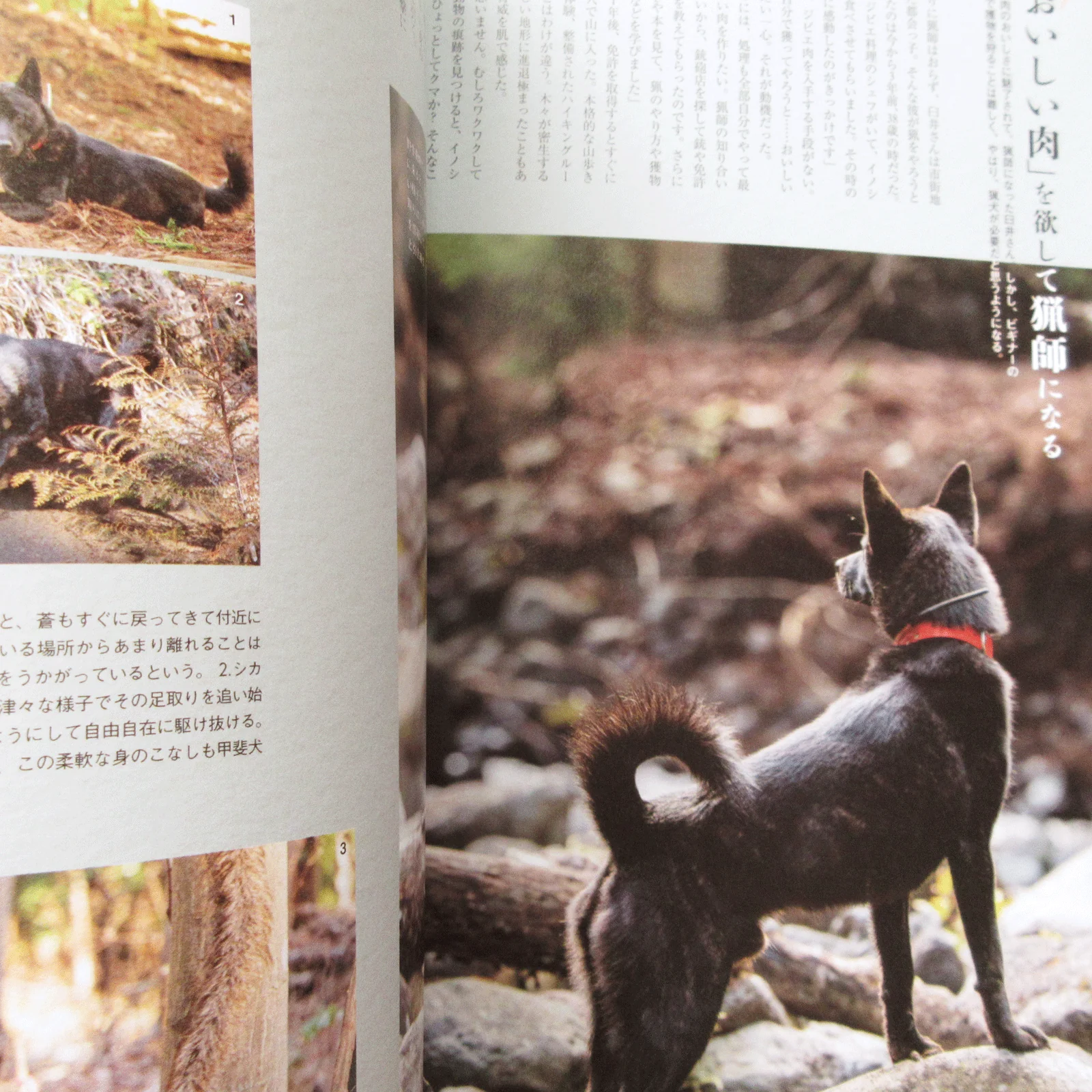 Shi-Ba Vol.131 Spring 2024 - Image 9