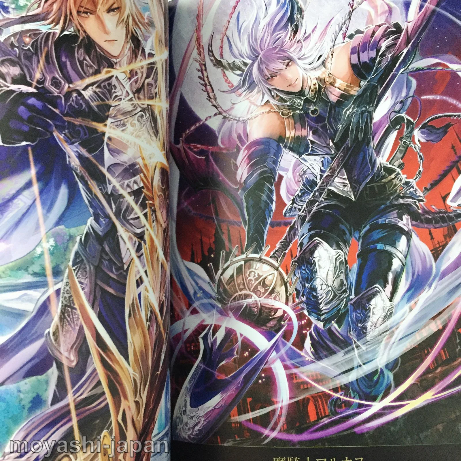 Shingoku no Valhalla Gate Official Art Works - Image 11
