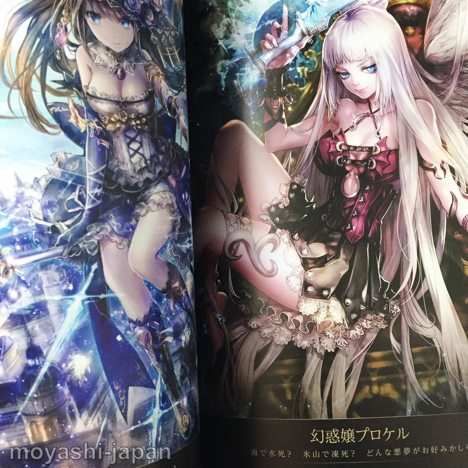 Shingoku no Valhalla Gate Official Art Works - Image 5