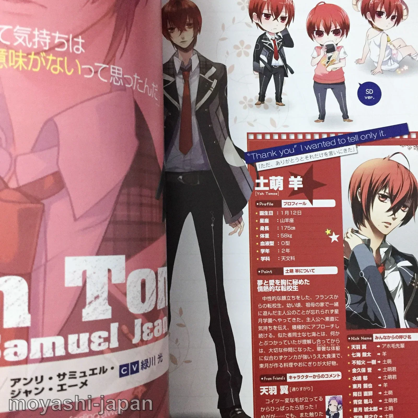 Starry Sky Fan Book 1st Spring & Summer animate limited - Image 6