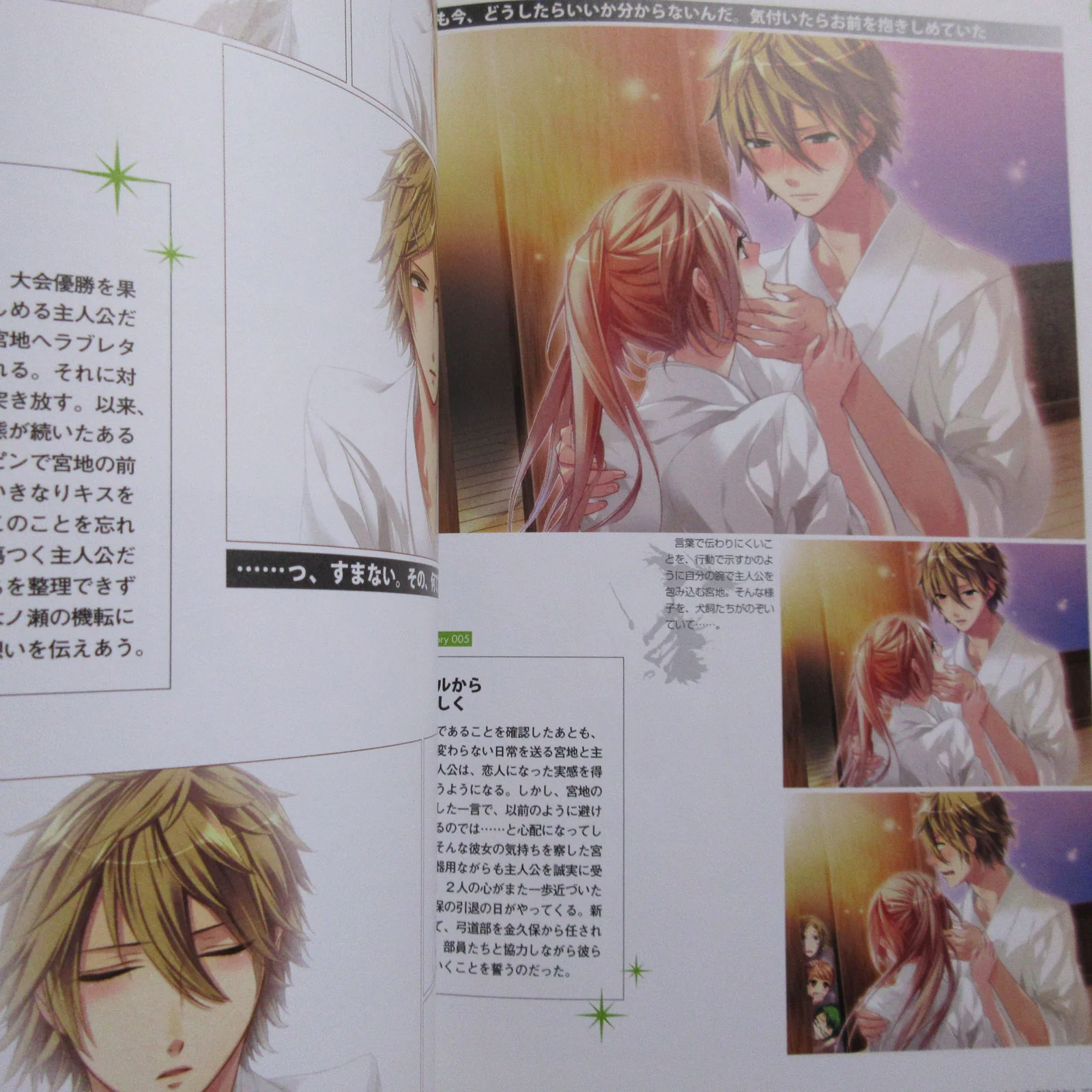 Starry Sky Official Guide Complete Edition Summer Sories Animate Limited Cover - Image 11