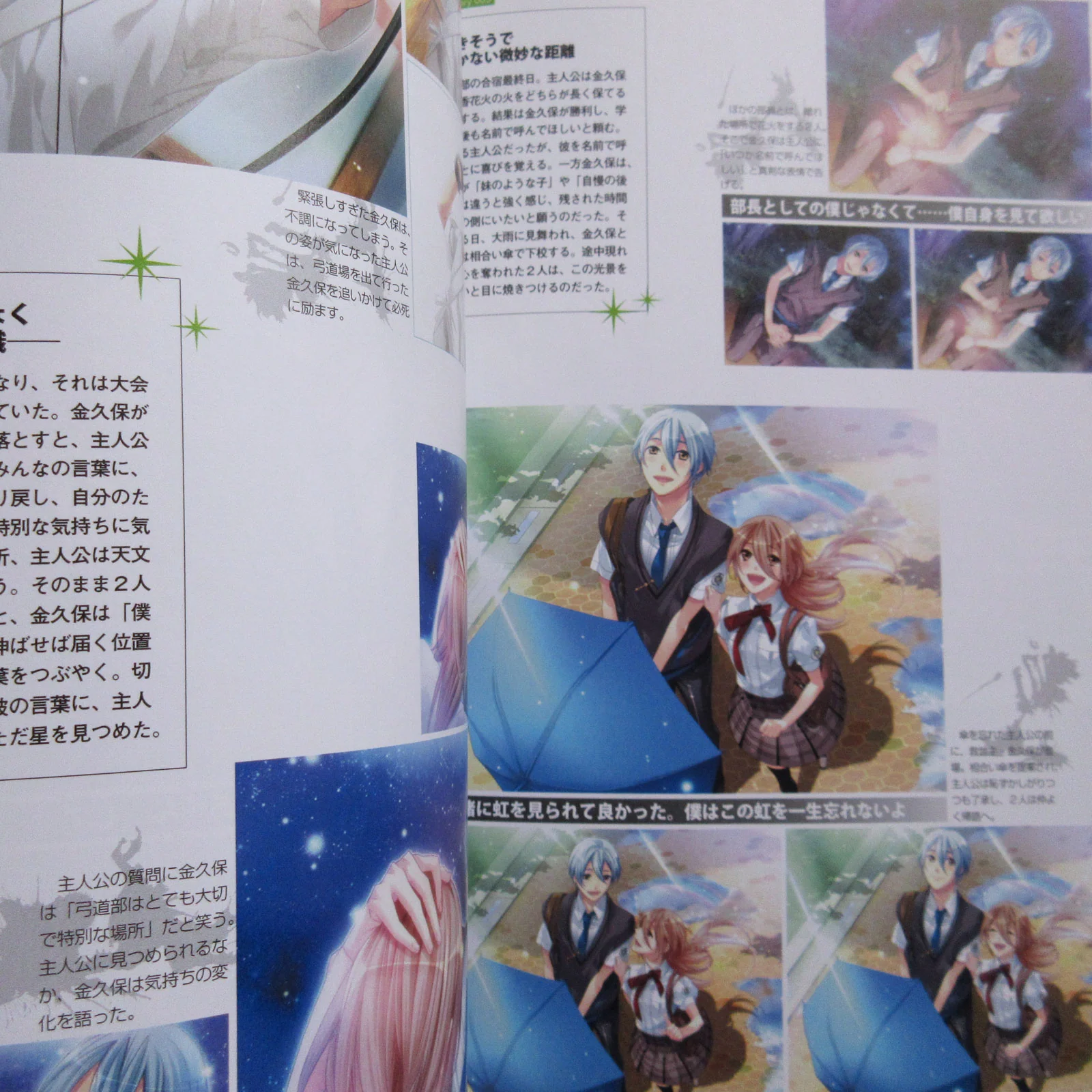 Starry Sky Official Guide Complete Edition Summer Sories Animate Limited Cover - Image 12