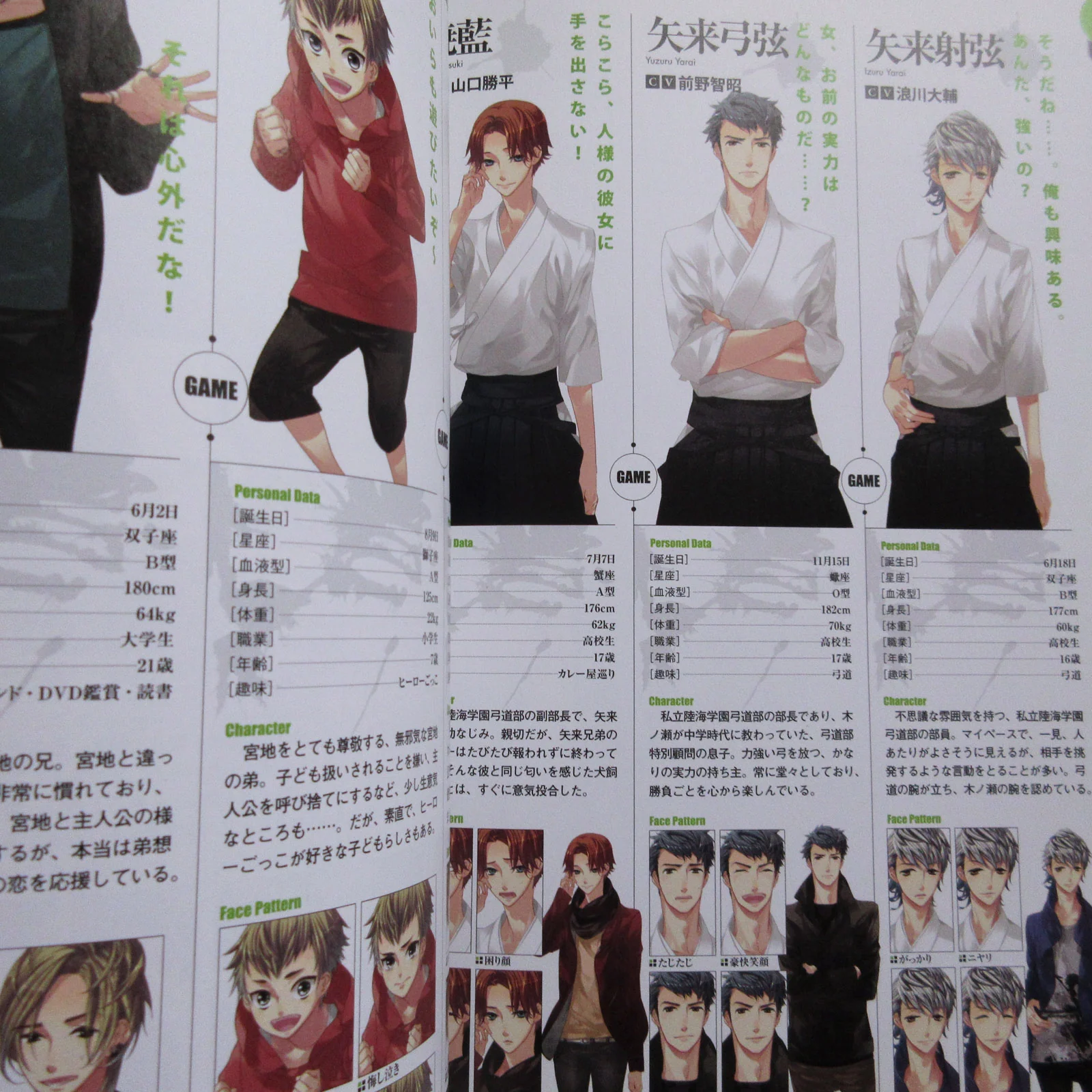 Starry Sky Official Guide Complete Edition Summer Sories Animate Limited Cover - Image 13