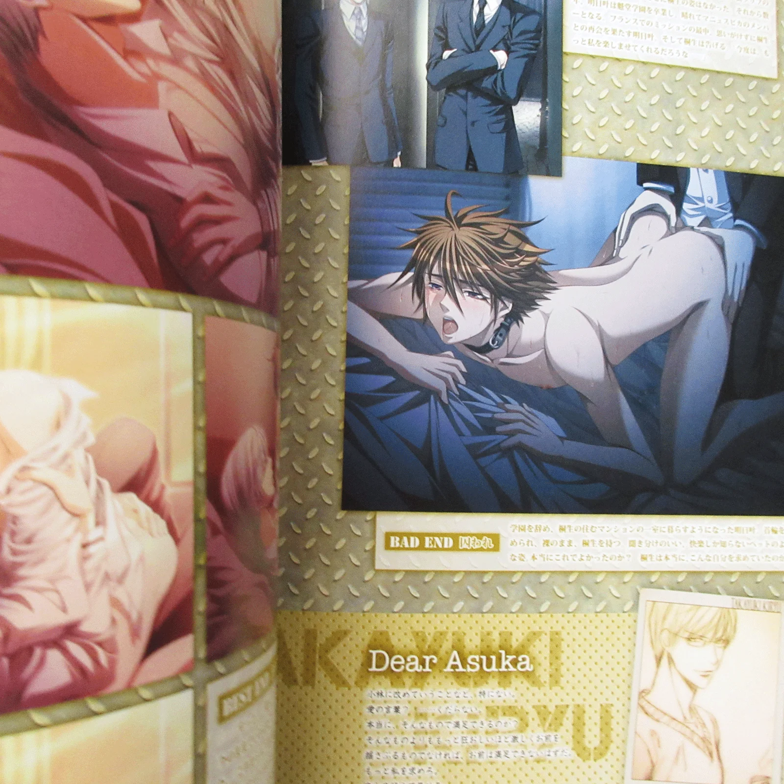 Steal! Official Visual Fan Book - Image 5