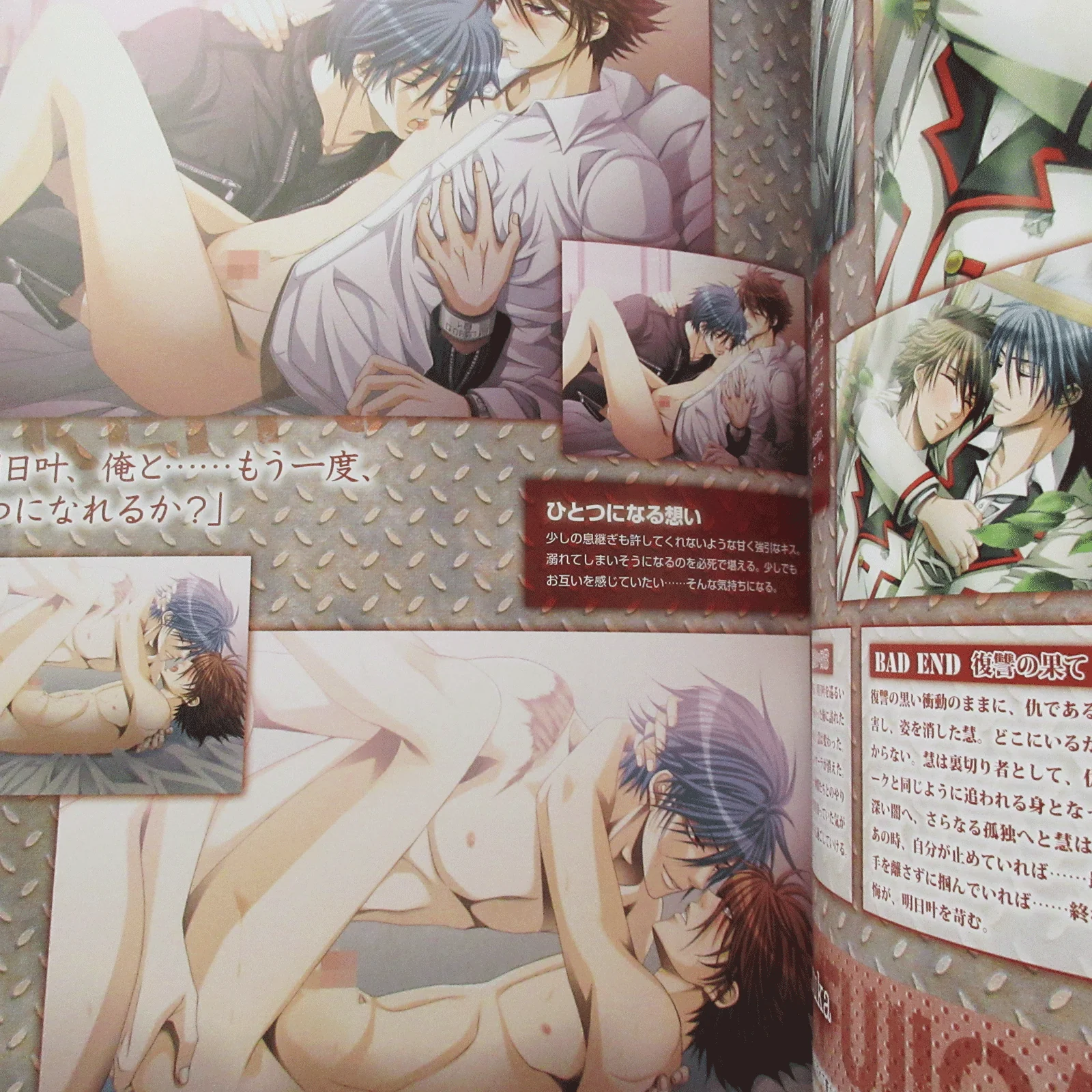 Steal! Official Visual Fan Book - Image 7