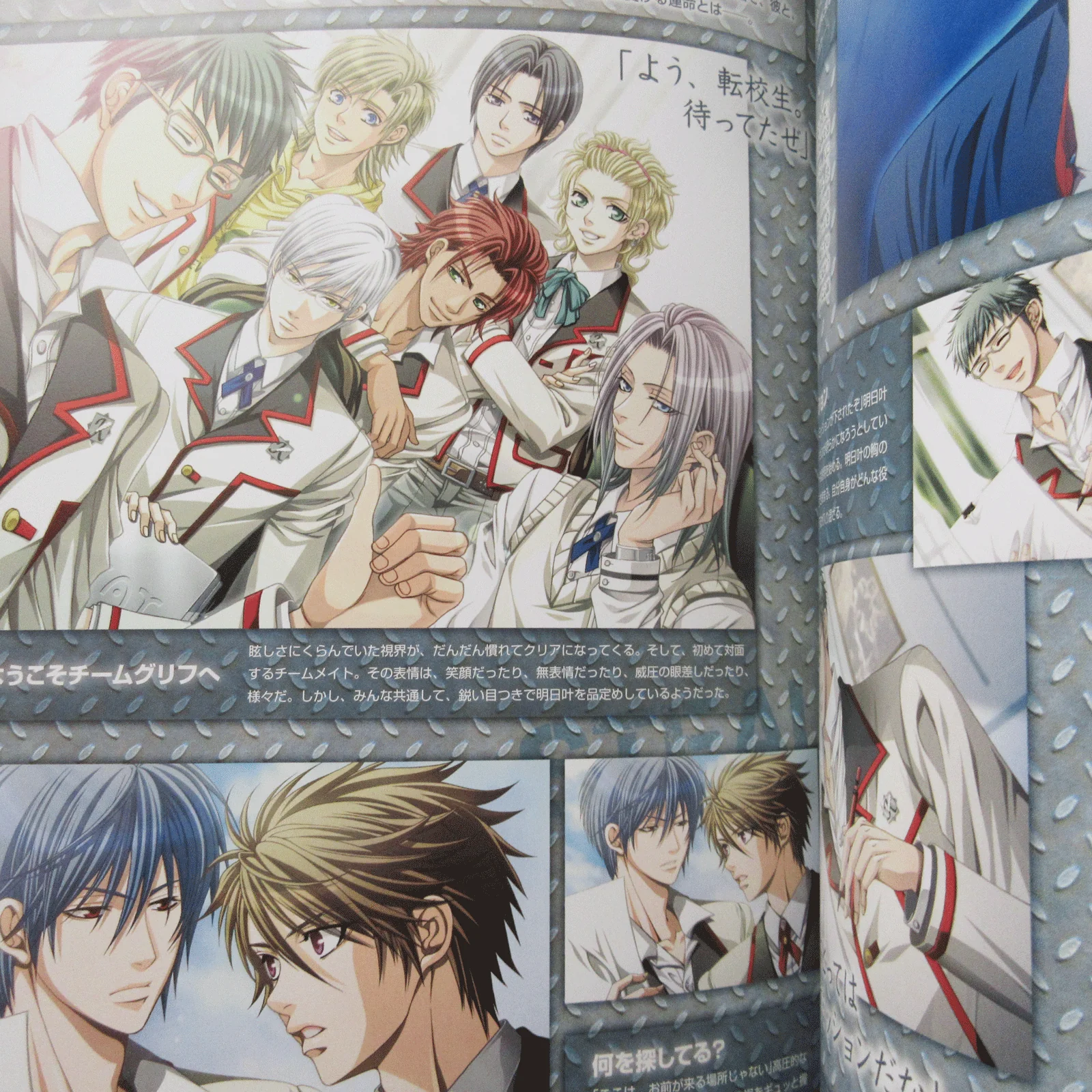 Steal! Official Visual Fan Book - Image 8