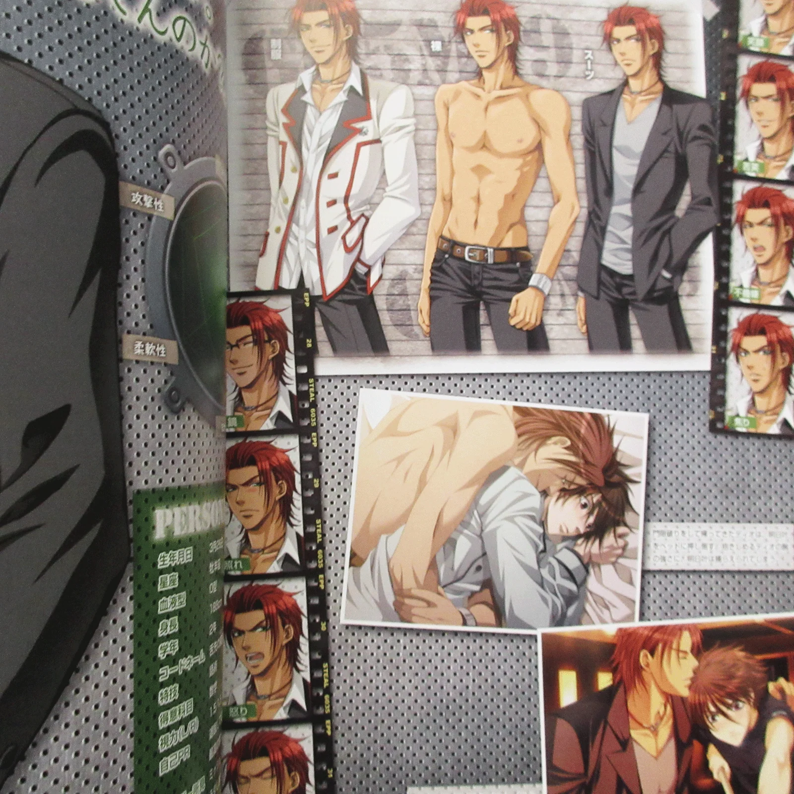 Steal! Official Visual Fan Book - Image 9