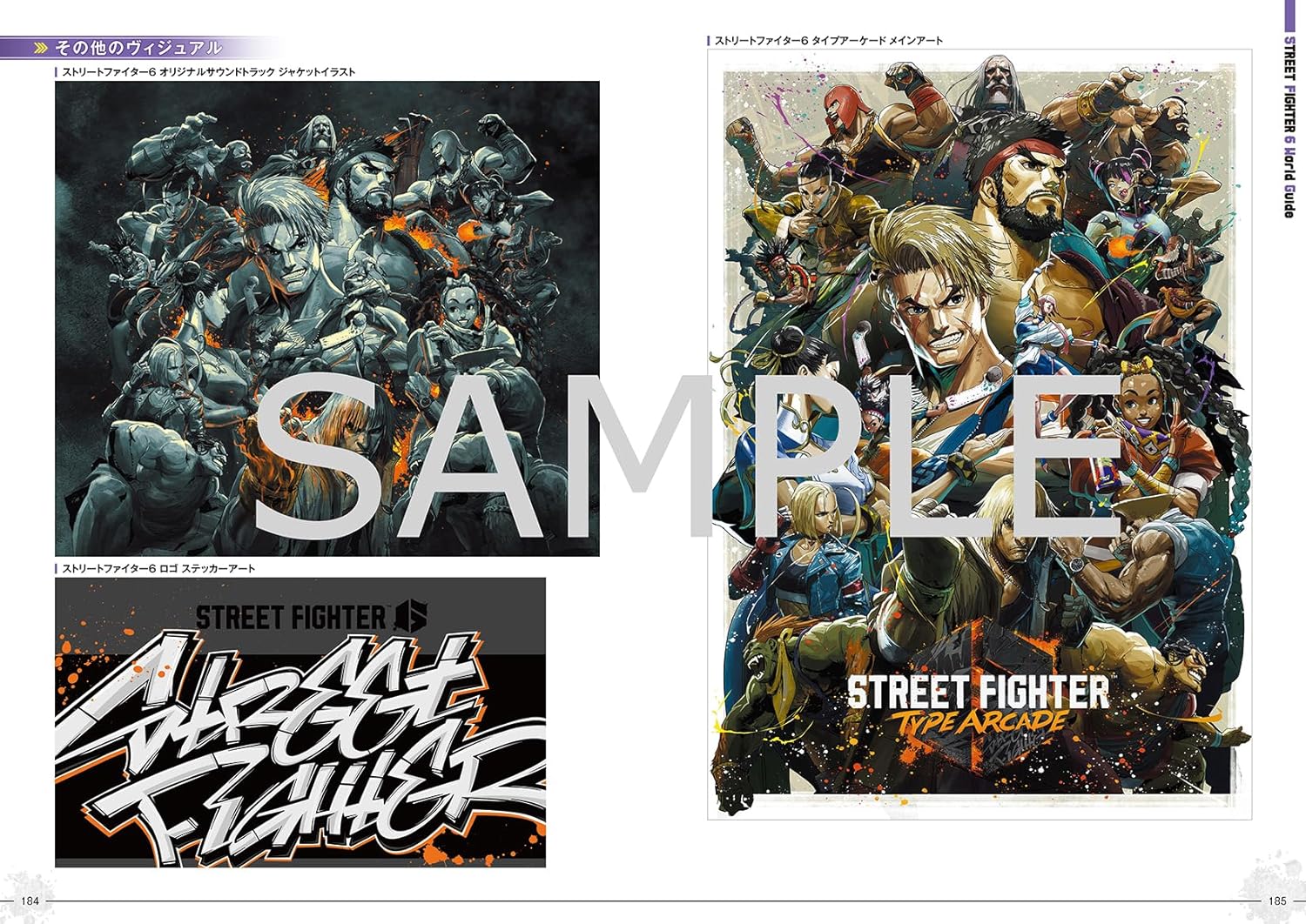 Street Fighter 6 World Guide - Image 5