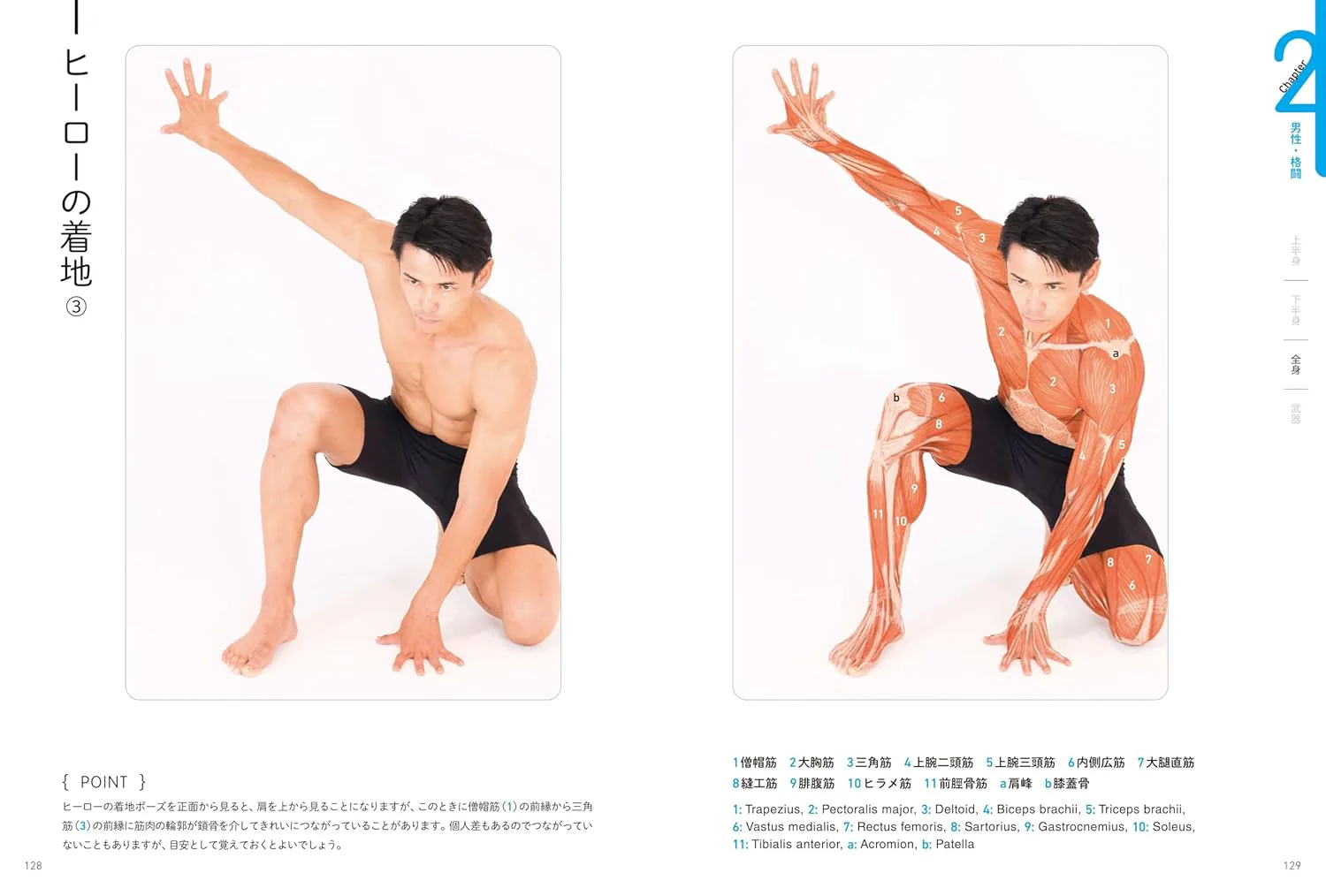 Surface Anatomy For Artists - Image 3
