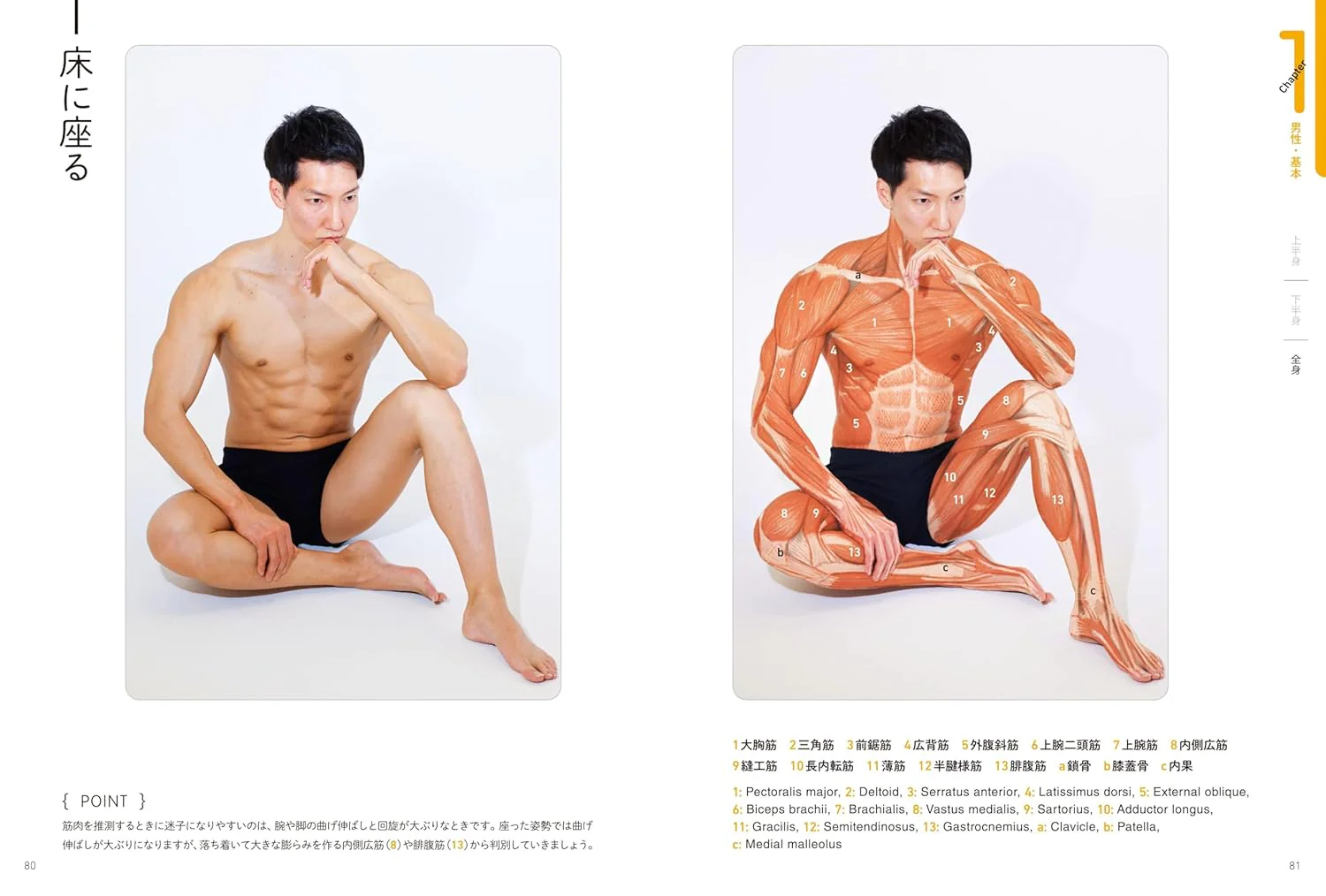 Surface Anatomy For Artists - Image 4