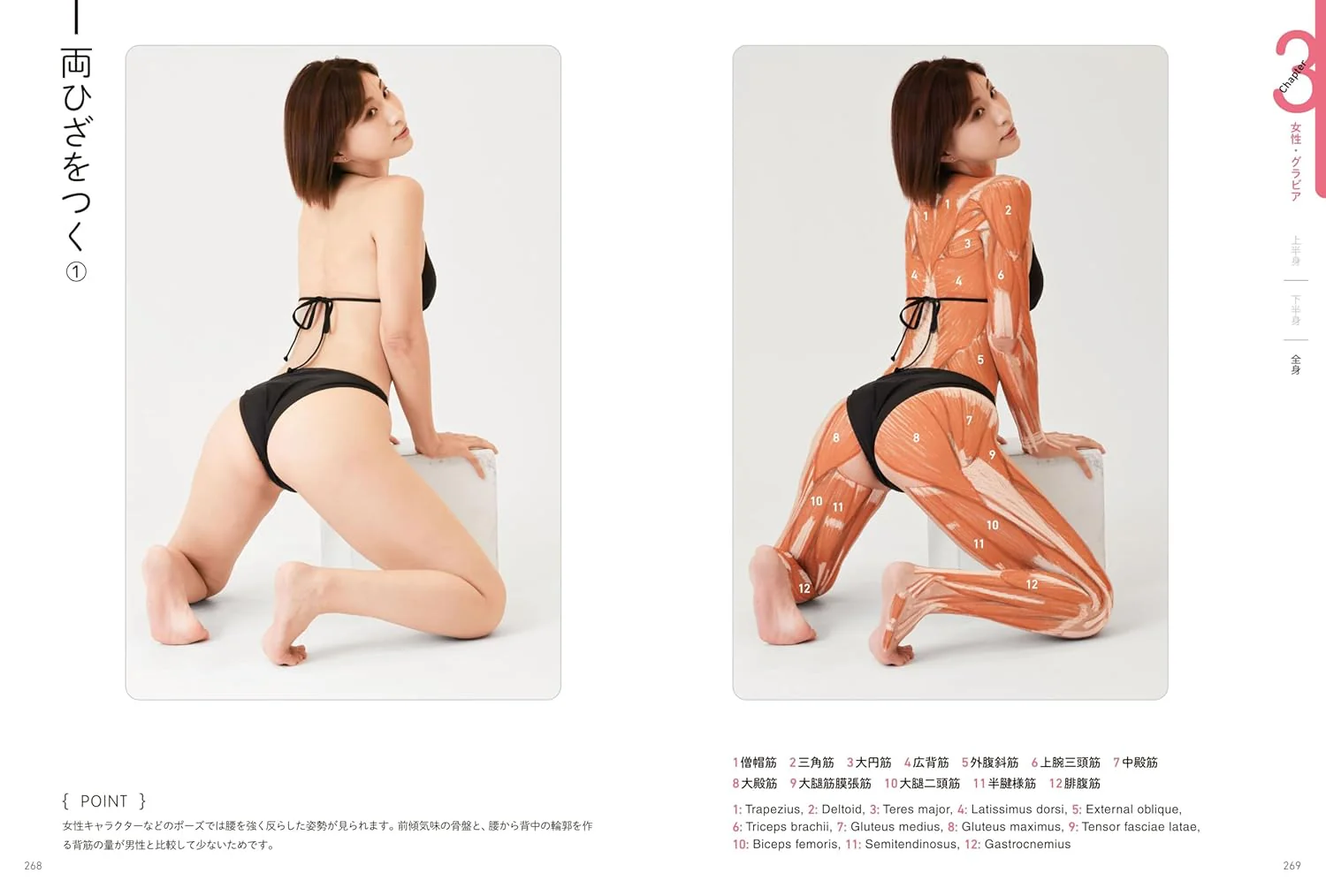 Surface Anatomy For Artists - Image 5
