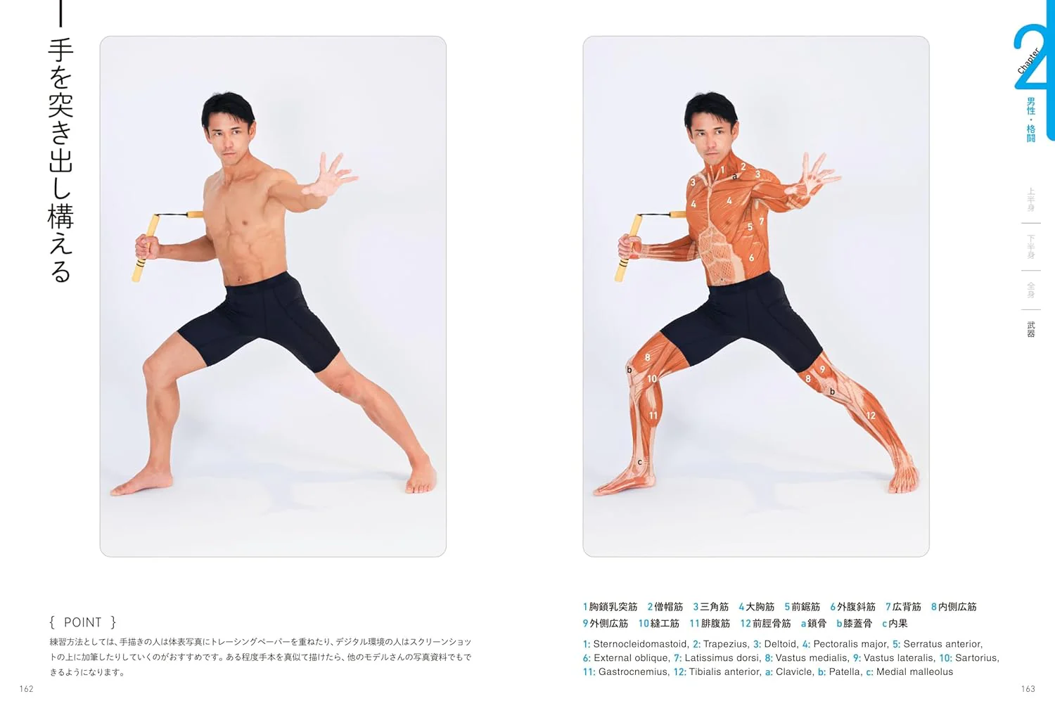Surface Anatomy For Artists - Image 8