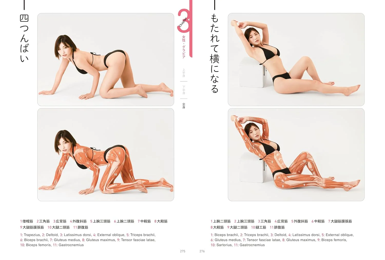 Surface Anatomy For Artists - Image 9