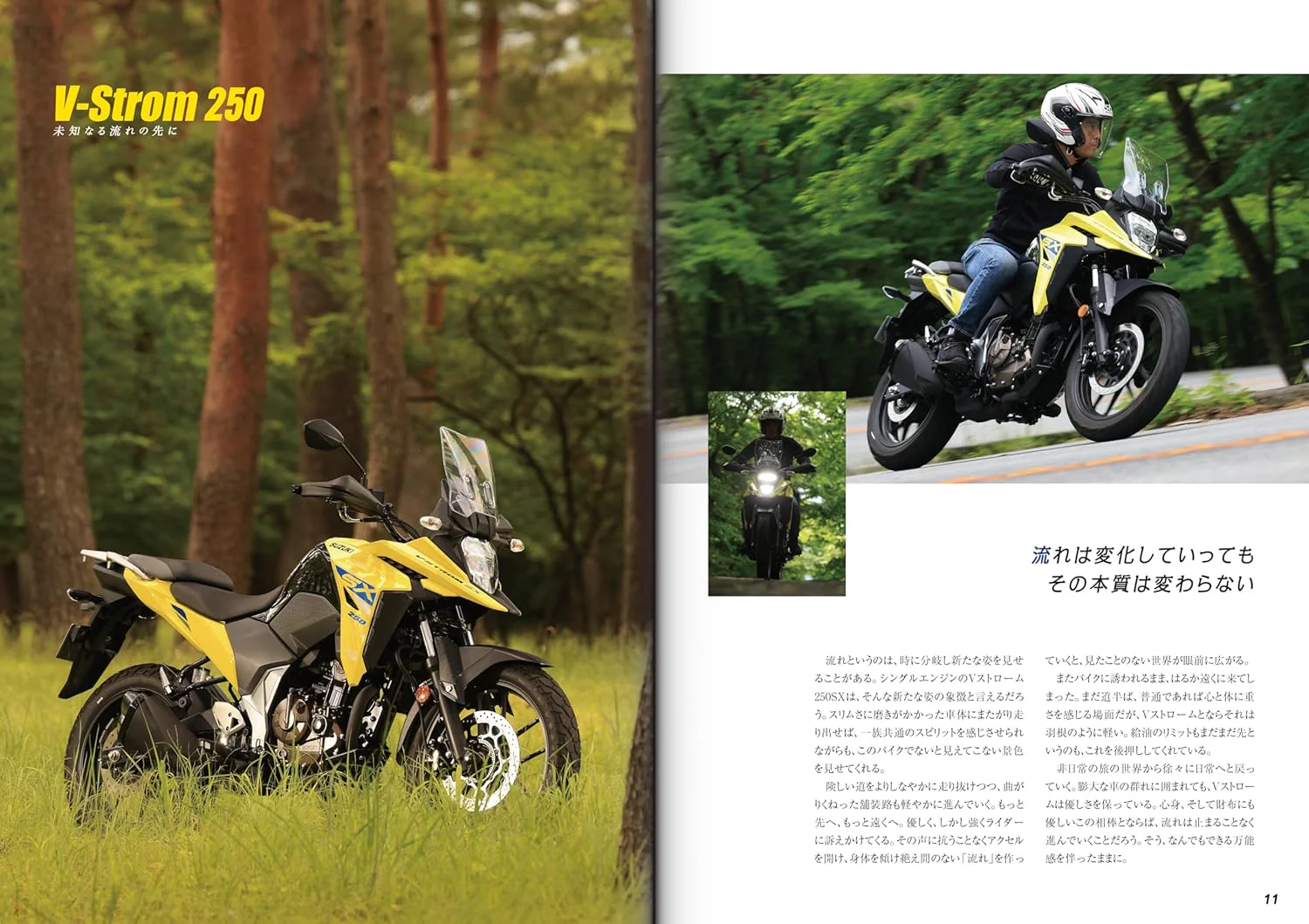 SUZUKI V-Strom 250 Custom & Maintenance - Image 5