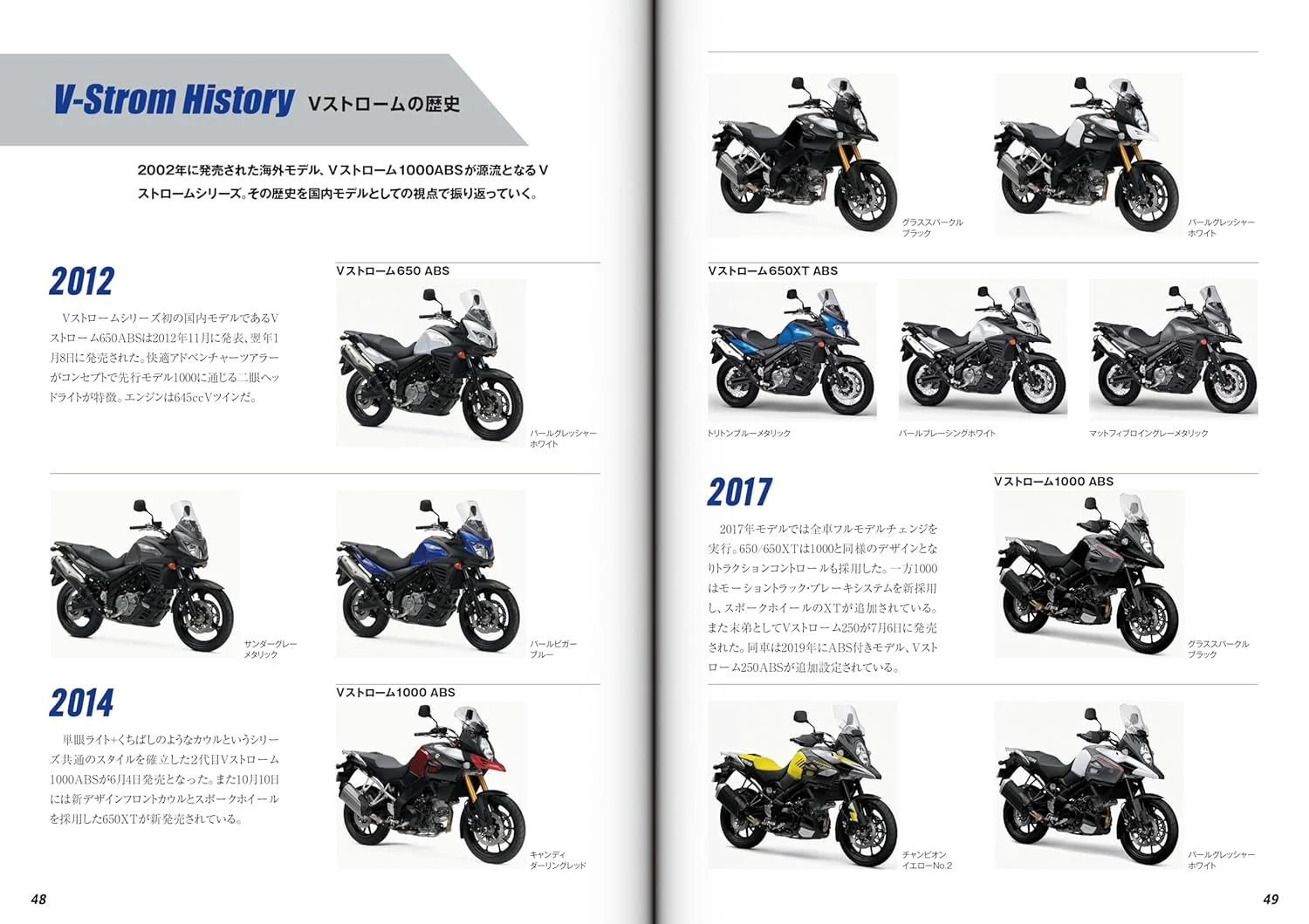 SUZUKI V-Strom 250 Custom & Maintenance - Image 6