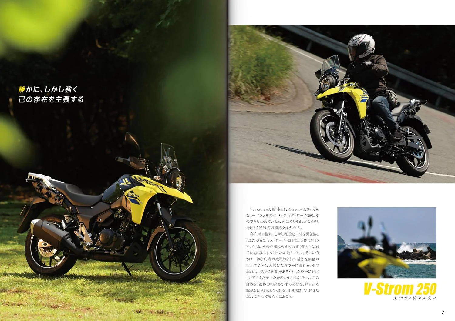 SUZUKI V-Strom 250 Custom & Maintenance - Image 9