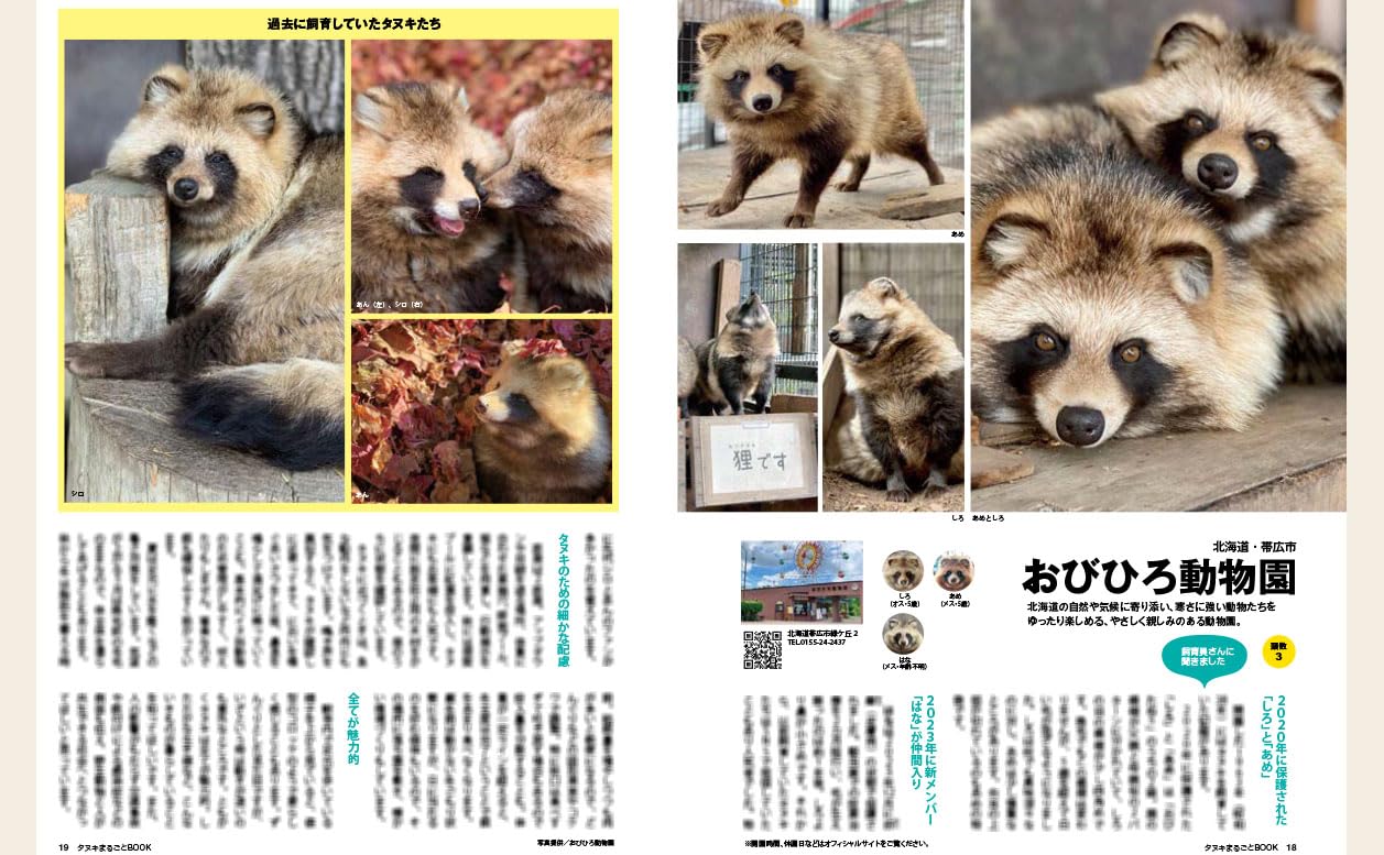 Tanuki Marugoto Book - Image 3