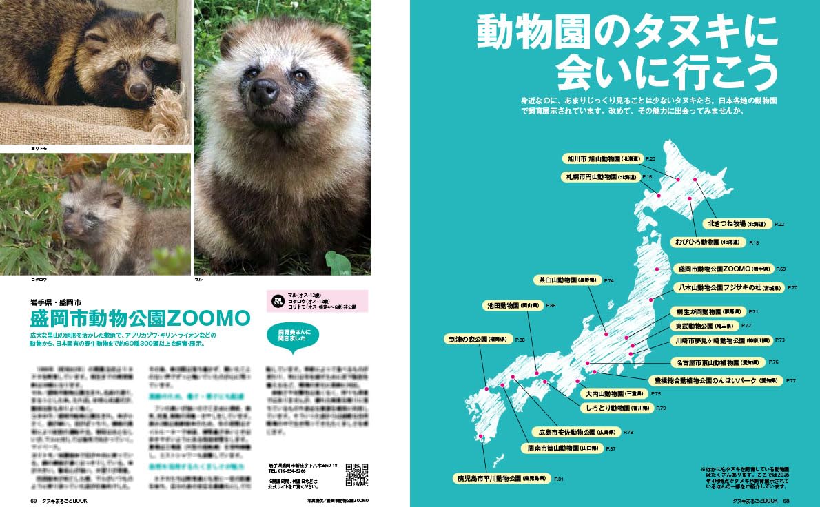 Tanuki Marugoto Book - Image 4