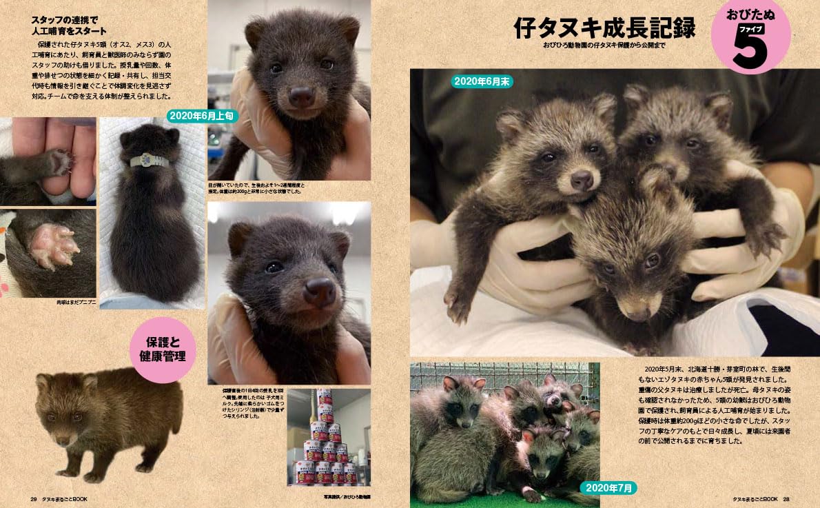 Tanuki Marugoto Book - Image 5