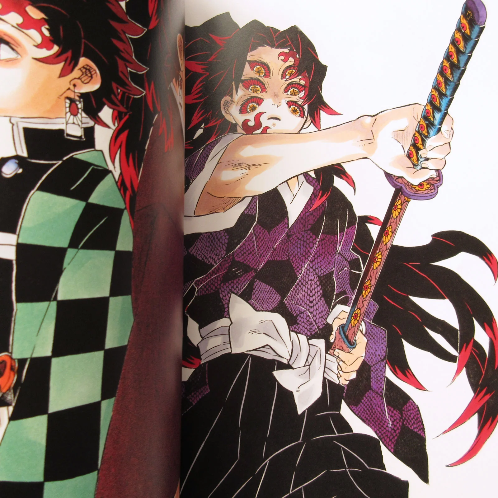 The Art of Demon Slayer: Kimetsu no Yaiba - Image 11