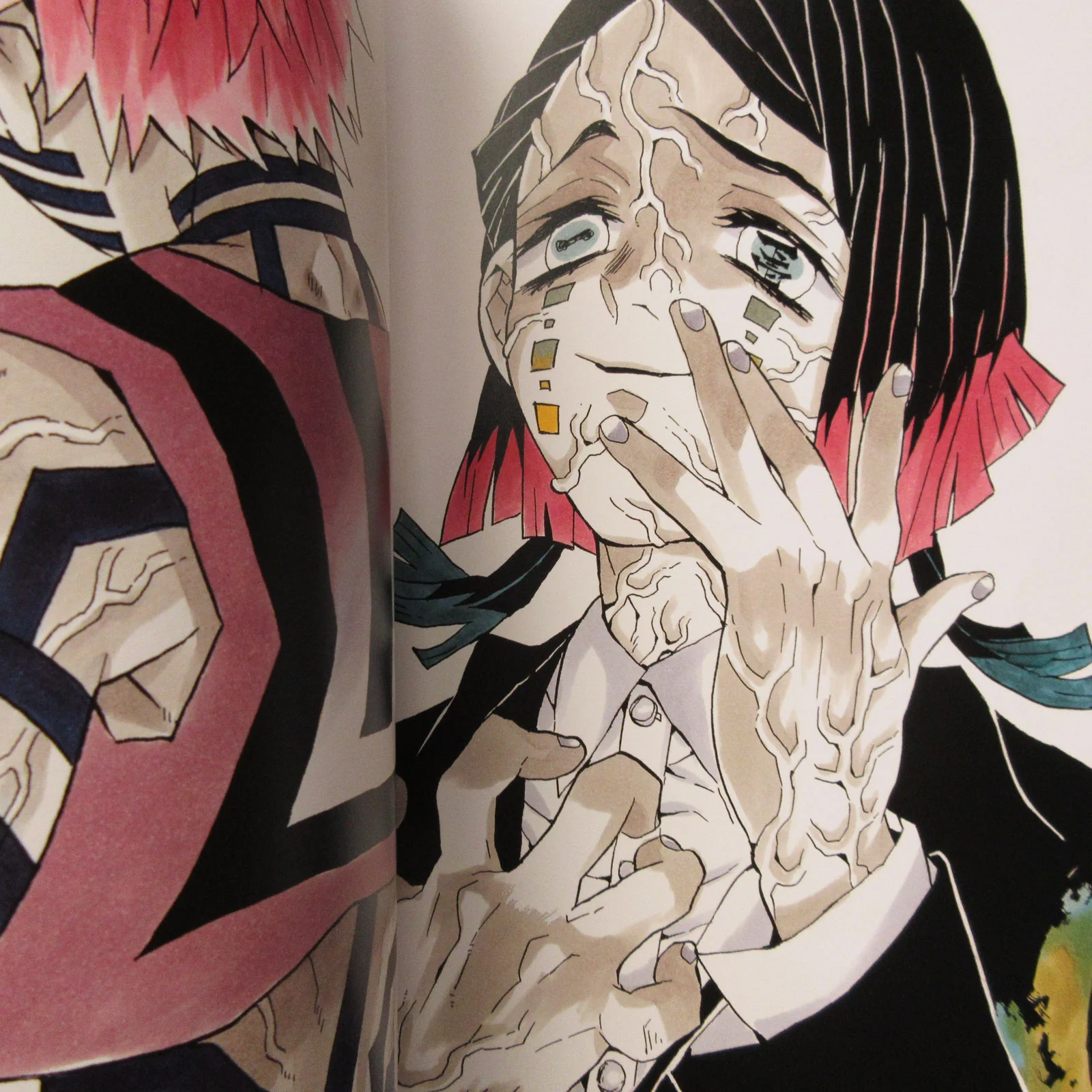 The Art of Demon Slayer: Kimetsu no Yaiba - Image 7