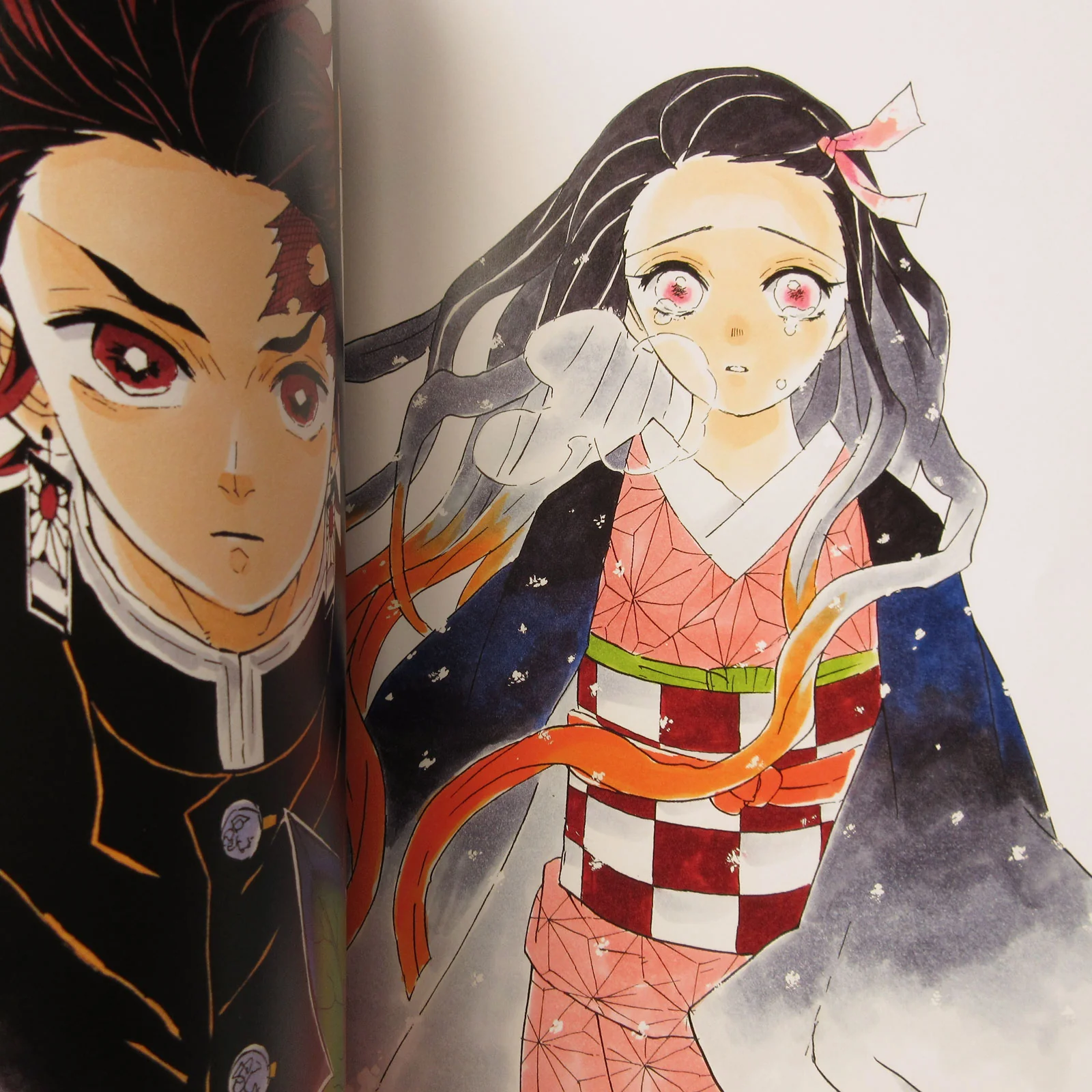 The Art of Demon Slayer: Kimetsu no Yaiba - Image 9