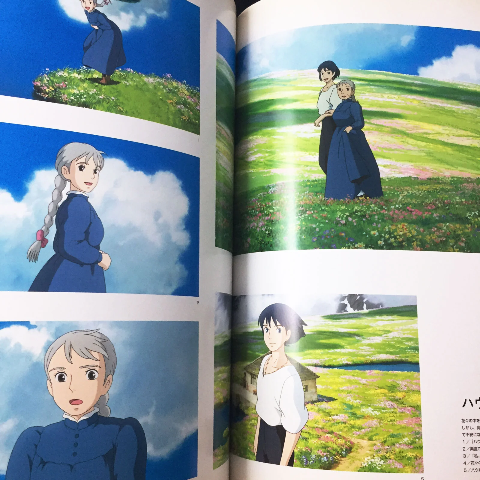 The Art of Howl's Moving Castle / Studio Ghibli - Image 9