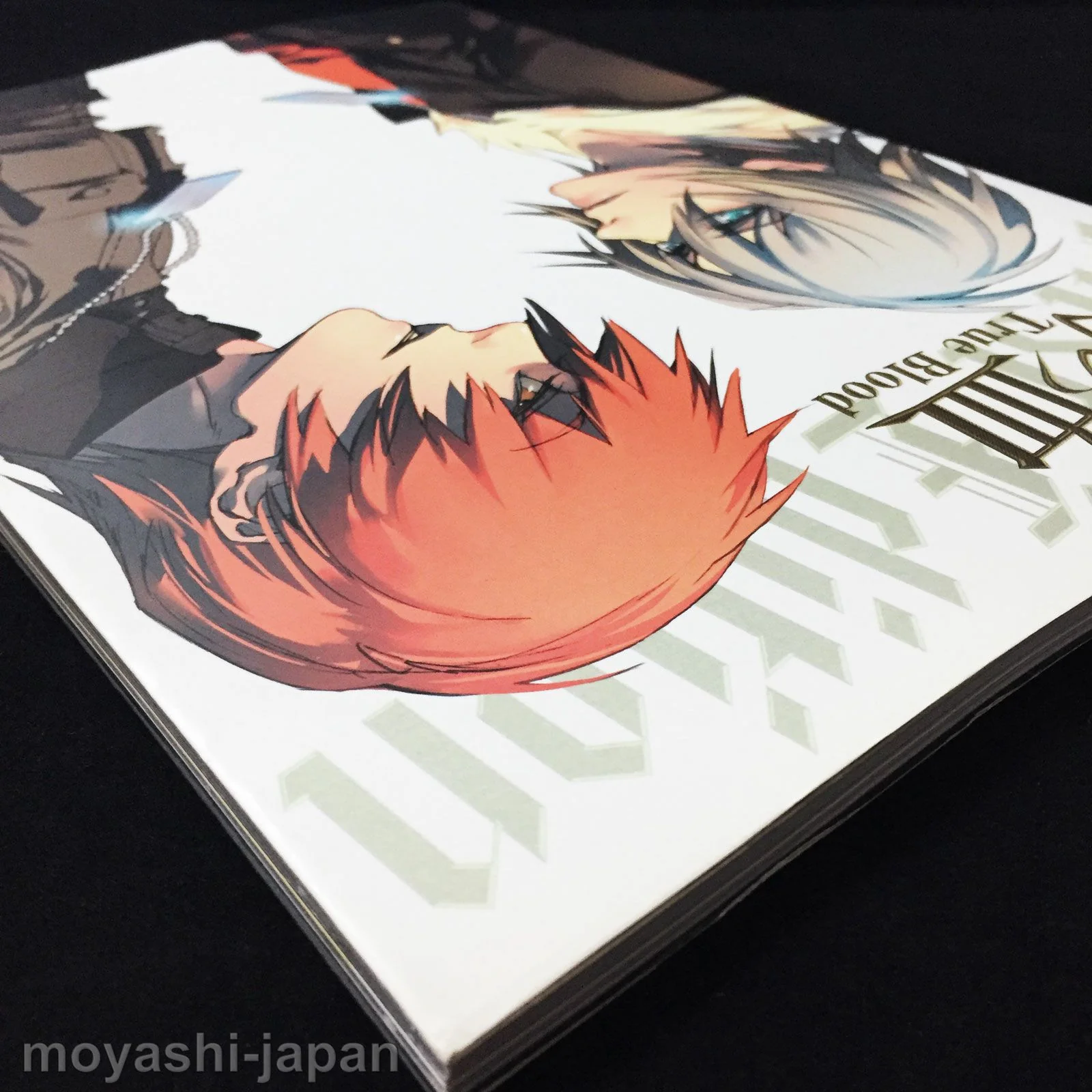 Togainu no Chi True Blood Official Fan Book First Edition - Image 3