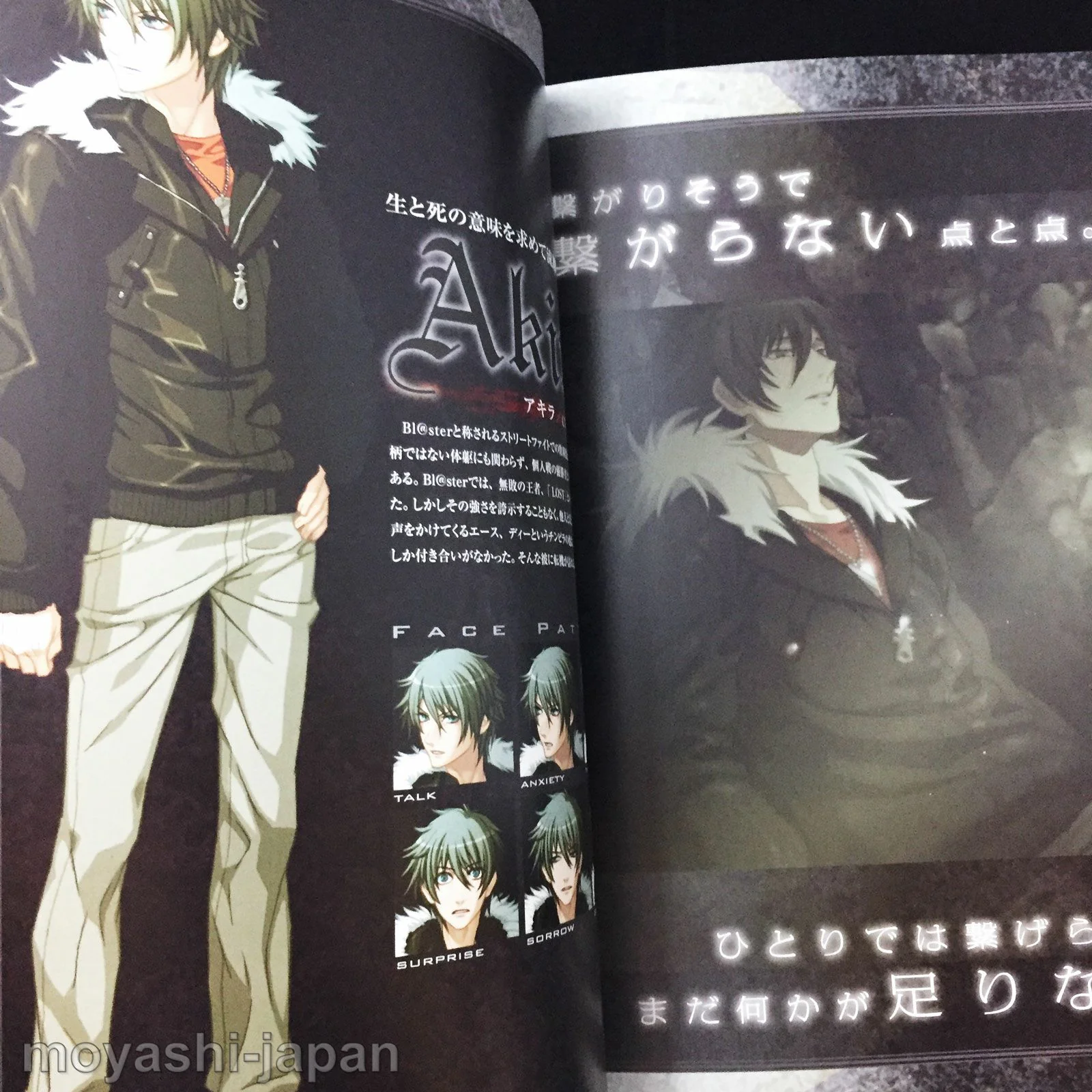 Togainu no Chi True Blood Official Fan Book First Edition - Image 4