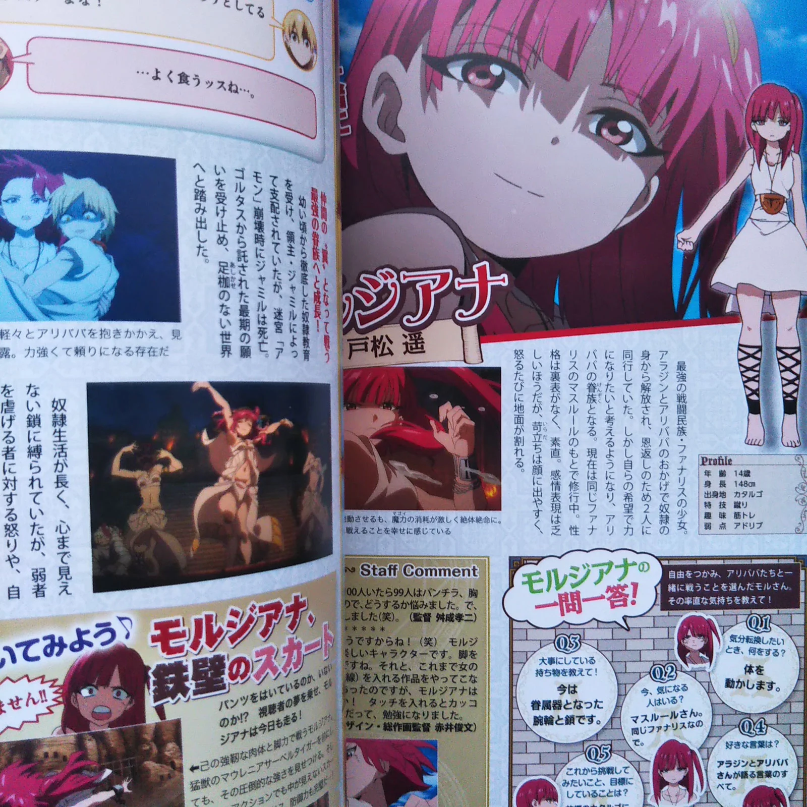 TV Animation Magi The Labyrinth of Magic Perfect Fan Book - Image 8