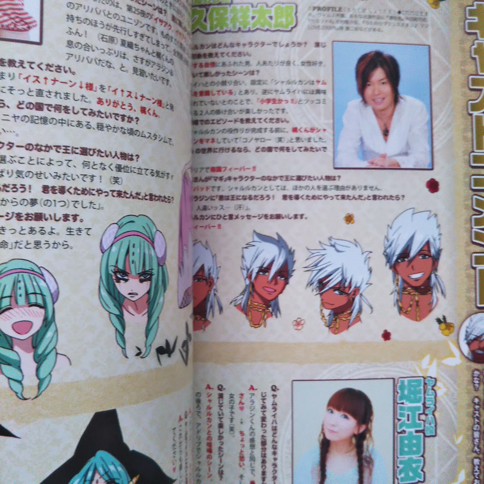 TV Animation Magi The Labyrinth of Magic Perfect Fan Book - Image 9