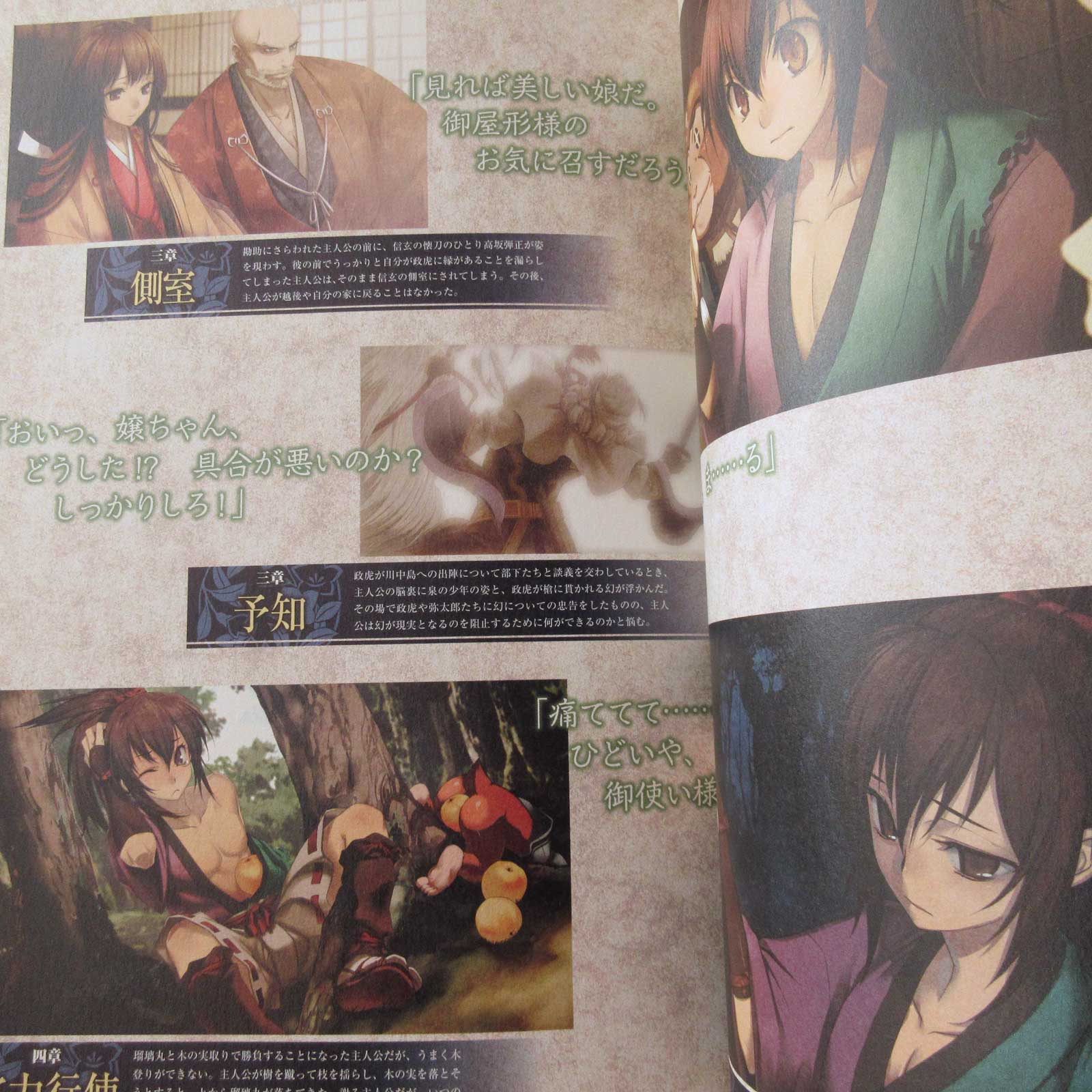 Nise no Chigiri Official Visual Book - Image 9